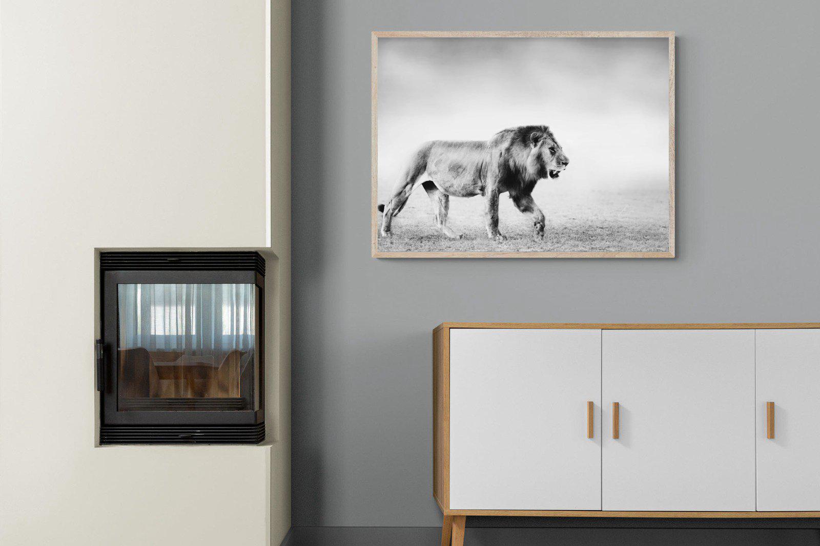 Roaming Lion-Wall_Art-100 x 75cm-Mounted Canvas-Wood-Pixalot