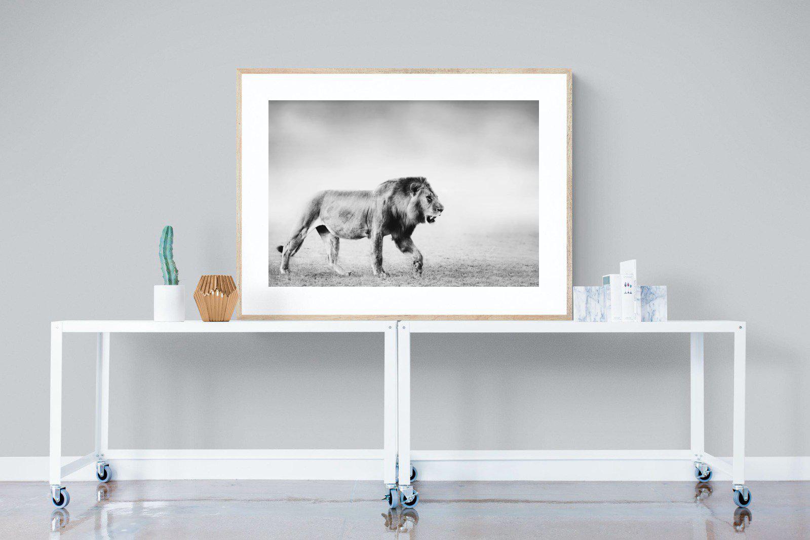 Roaming Lion-Wall_Art-120 x 90cm-Framed Print-Wood-Pixalot