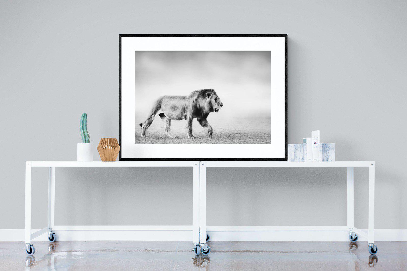 Roaming Lion-Wall_Art-120 x 90cm-Framed Print-Black-Pixalot