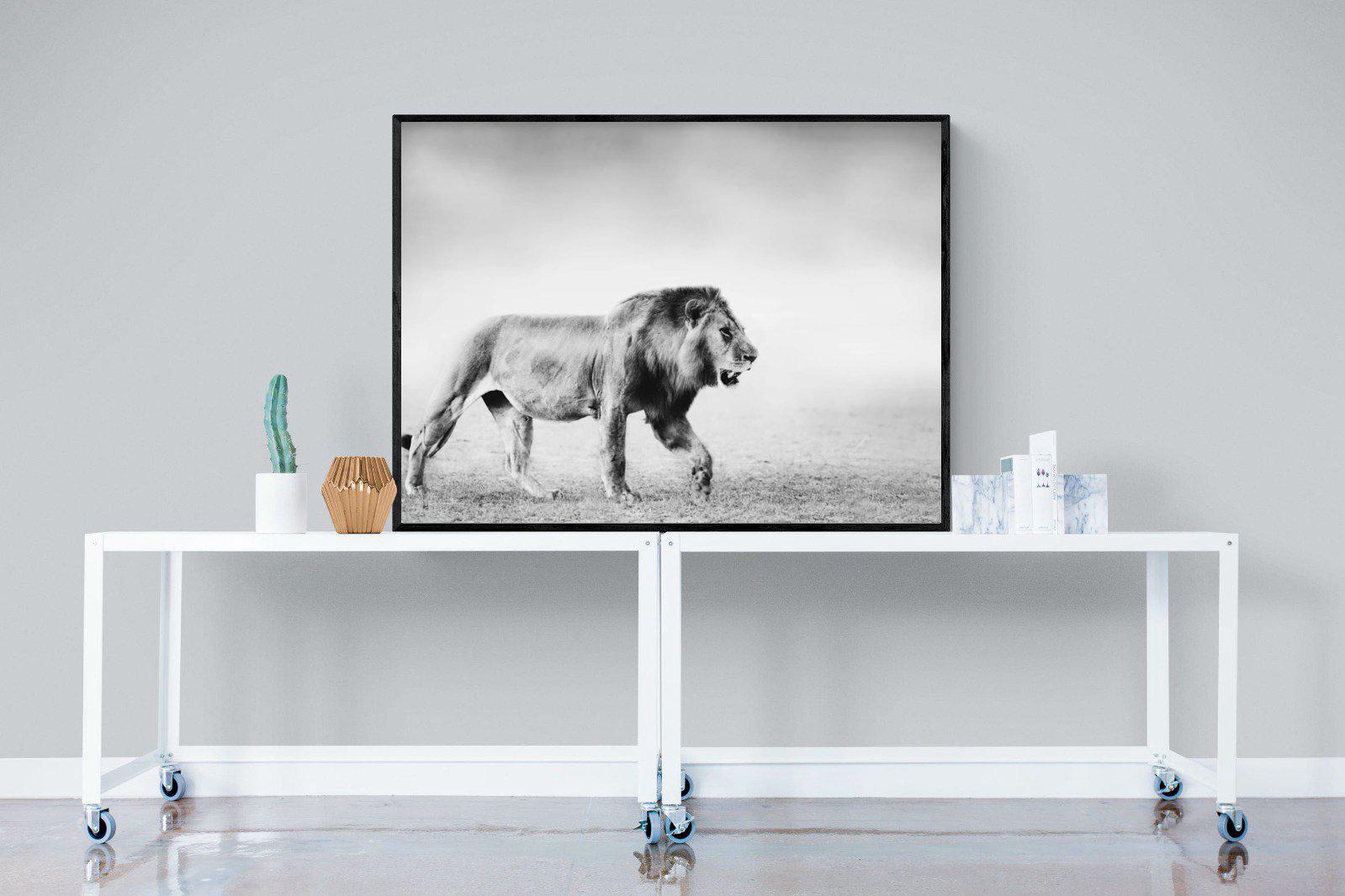 Roaming Lion-Wall_Art-120 x 90cm-Mounted Canvas-Black-Pixalot