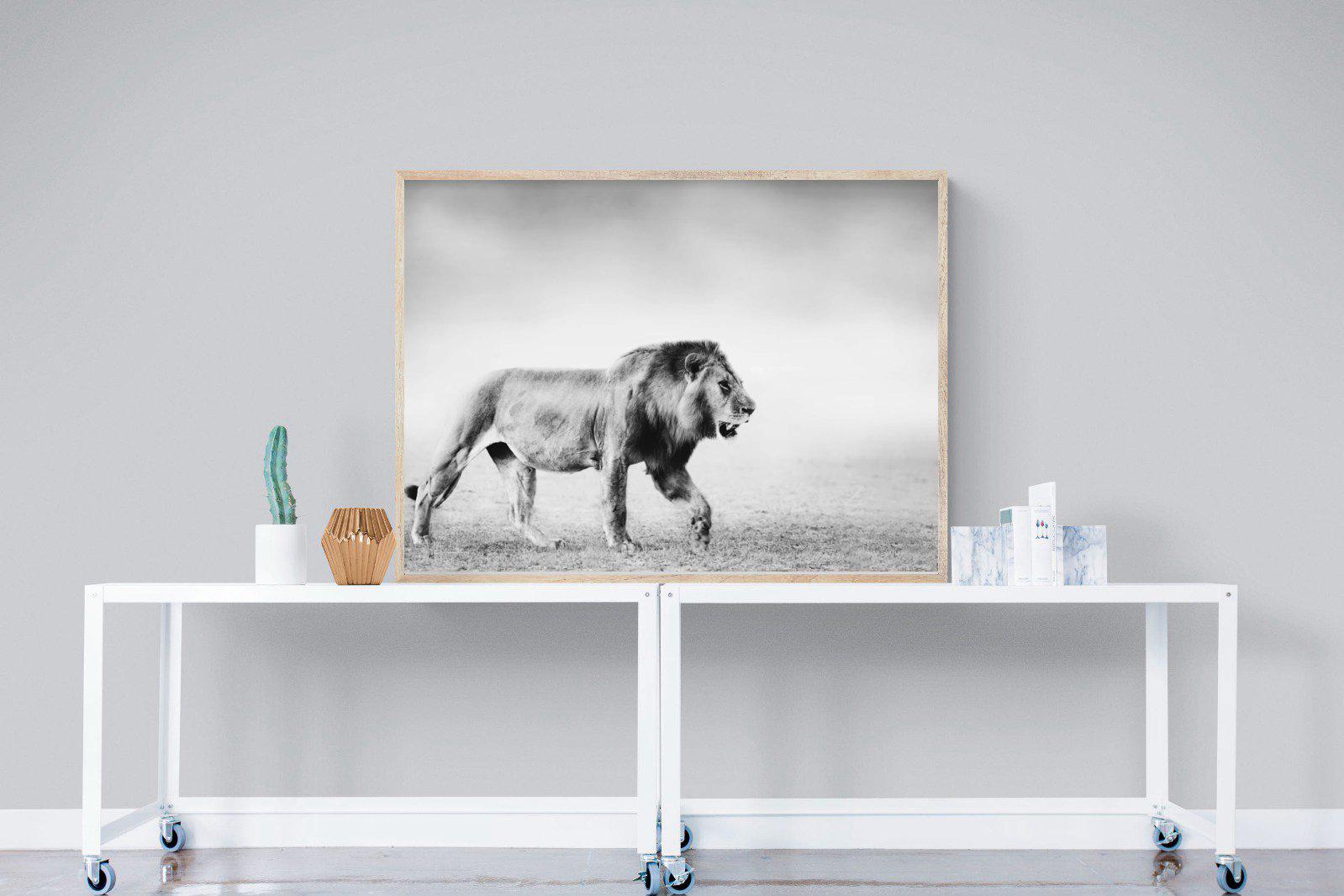 Roaming Lion-Wall_Art-120 x 90cm-Mounted Canvas-Wood-Pixalot