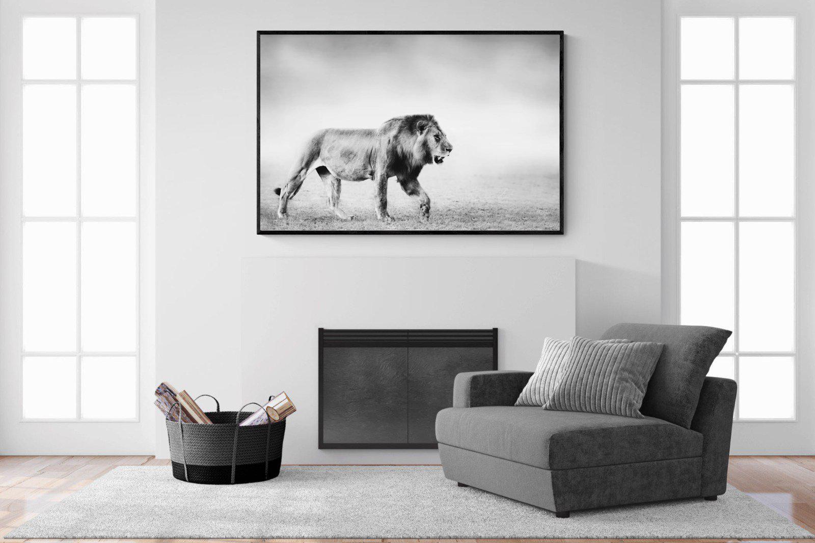 Roaming Lion-Wall_Art-150 x 100cm-Mounted Canvas-Black-Pixalot