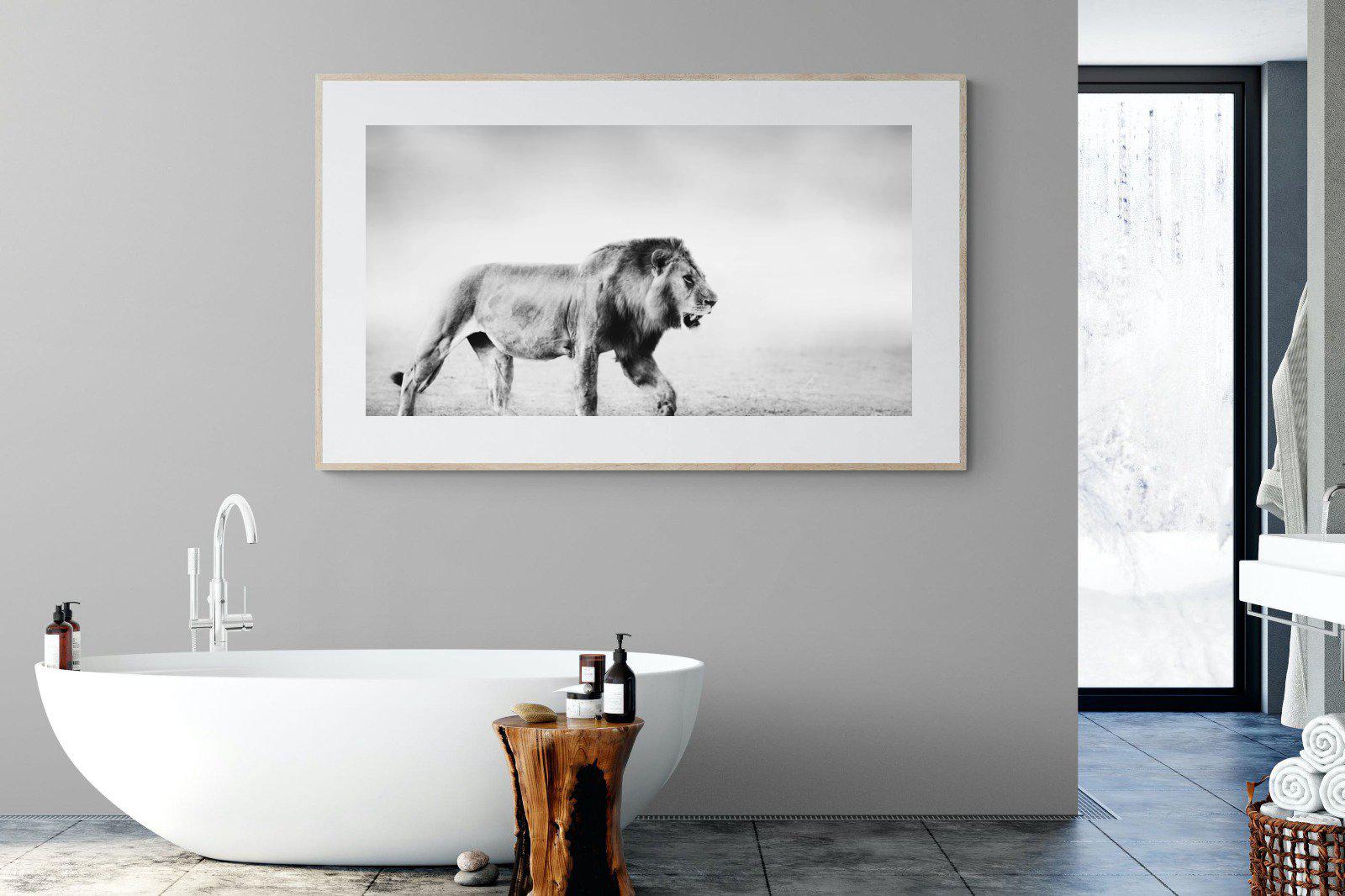 Roaming Lion-Wall_Art-180 x 110cm-Framed Print-Wood-Pixalot