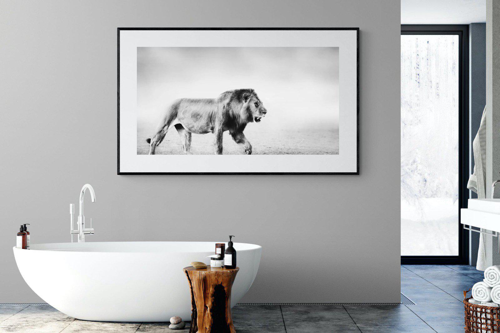 Roaming Lion-Wall_Art-180 x 110cm-Framed Print-Black-Pixalot