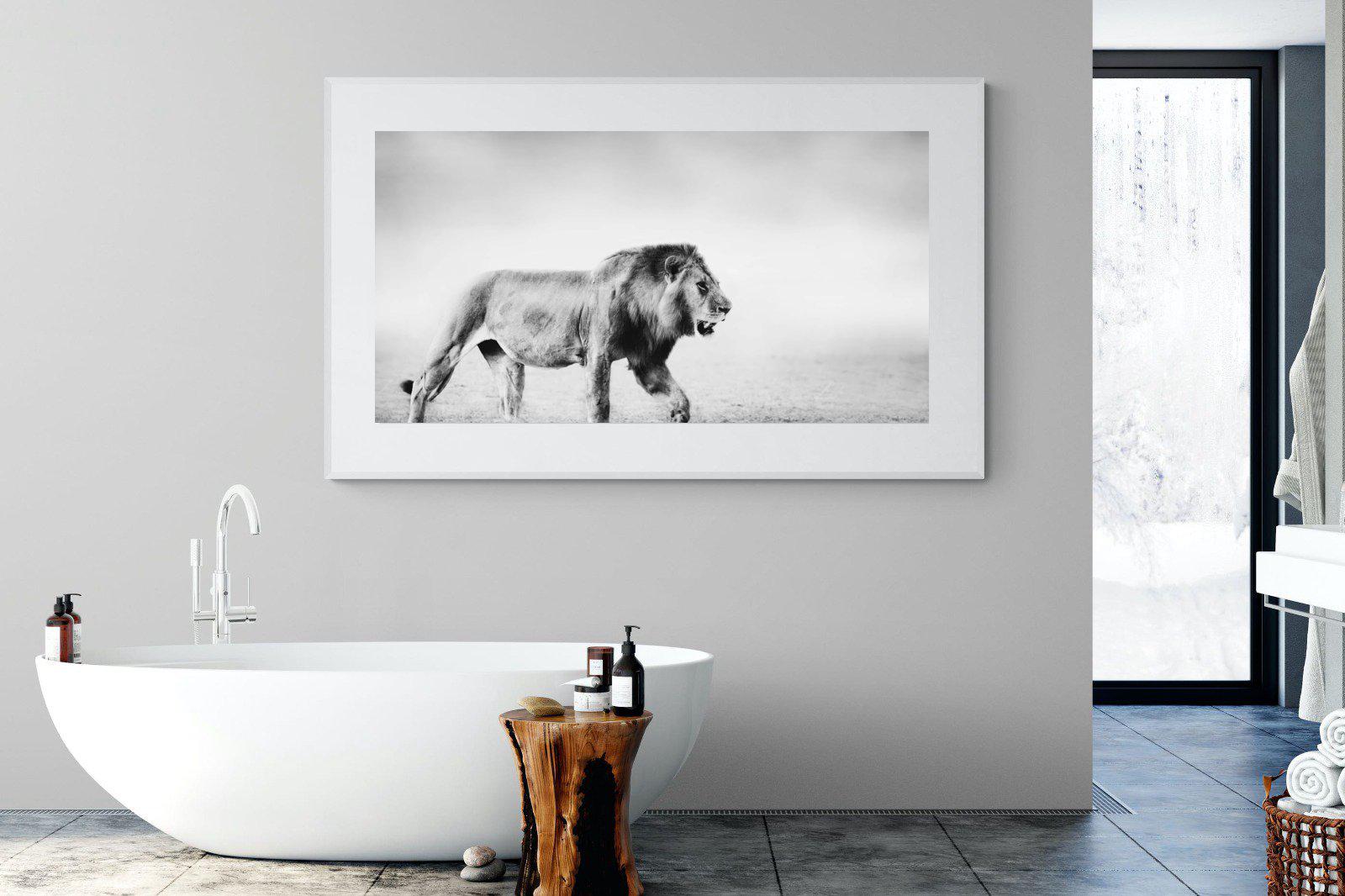 Roaming Lion-Wall_Art-180 x 110cm-Framed Print-White-Pixalot