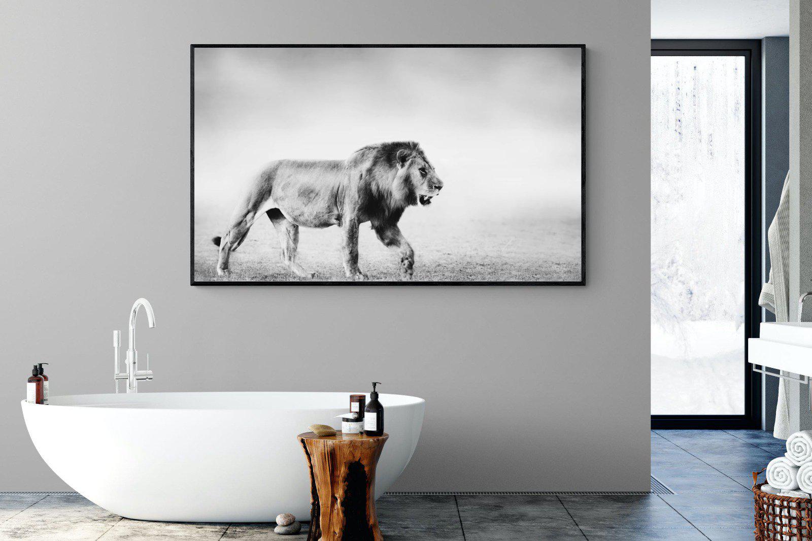 Roaming Lion-Wall_Art-180 x 110cm-Mounted Canvas-Black-Pixalot