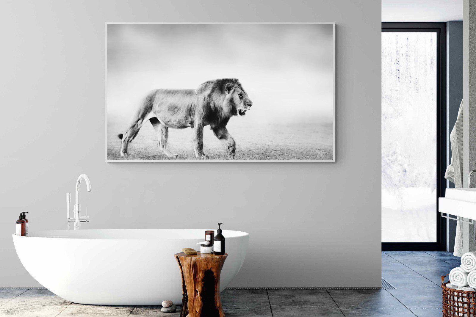 Roaming Lion-Wall_Art-180 x 110cm-Mounted Canvas-White-Pixalot