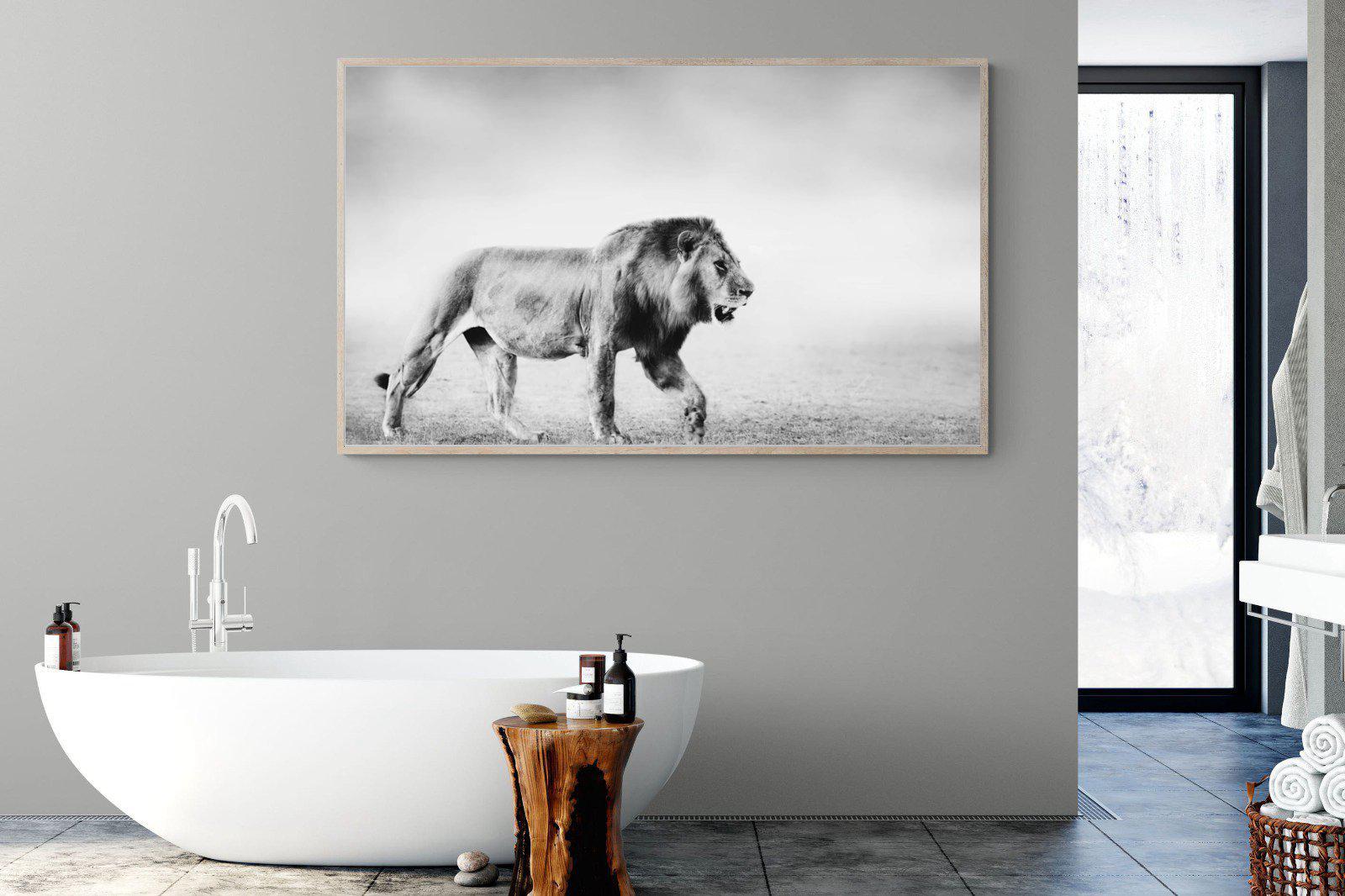 Roaming Lion-Wall_Art-180 x 110cm-Mounted Canvas-Wood-Pixalot