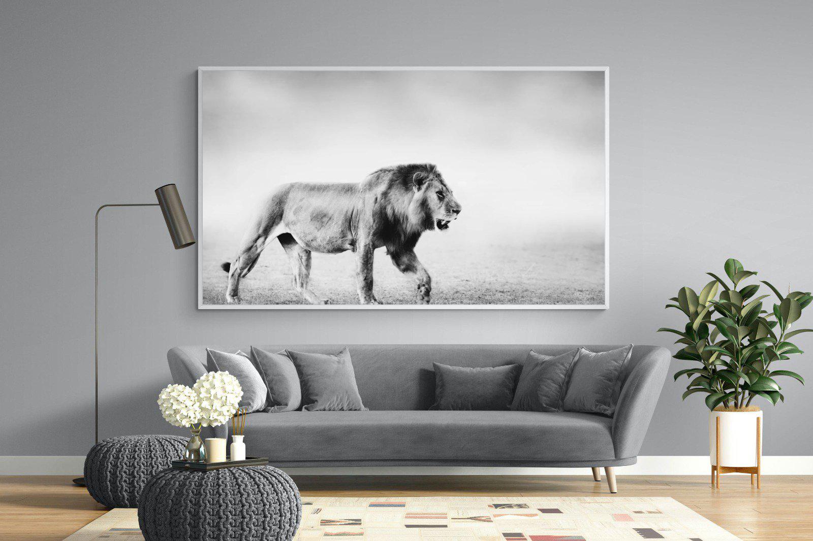 Roaming Lion-Wall_Art-220 x 130cm-Mounted Canvas-White-Pixalot