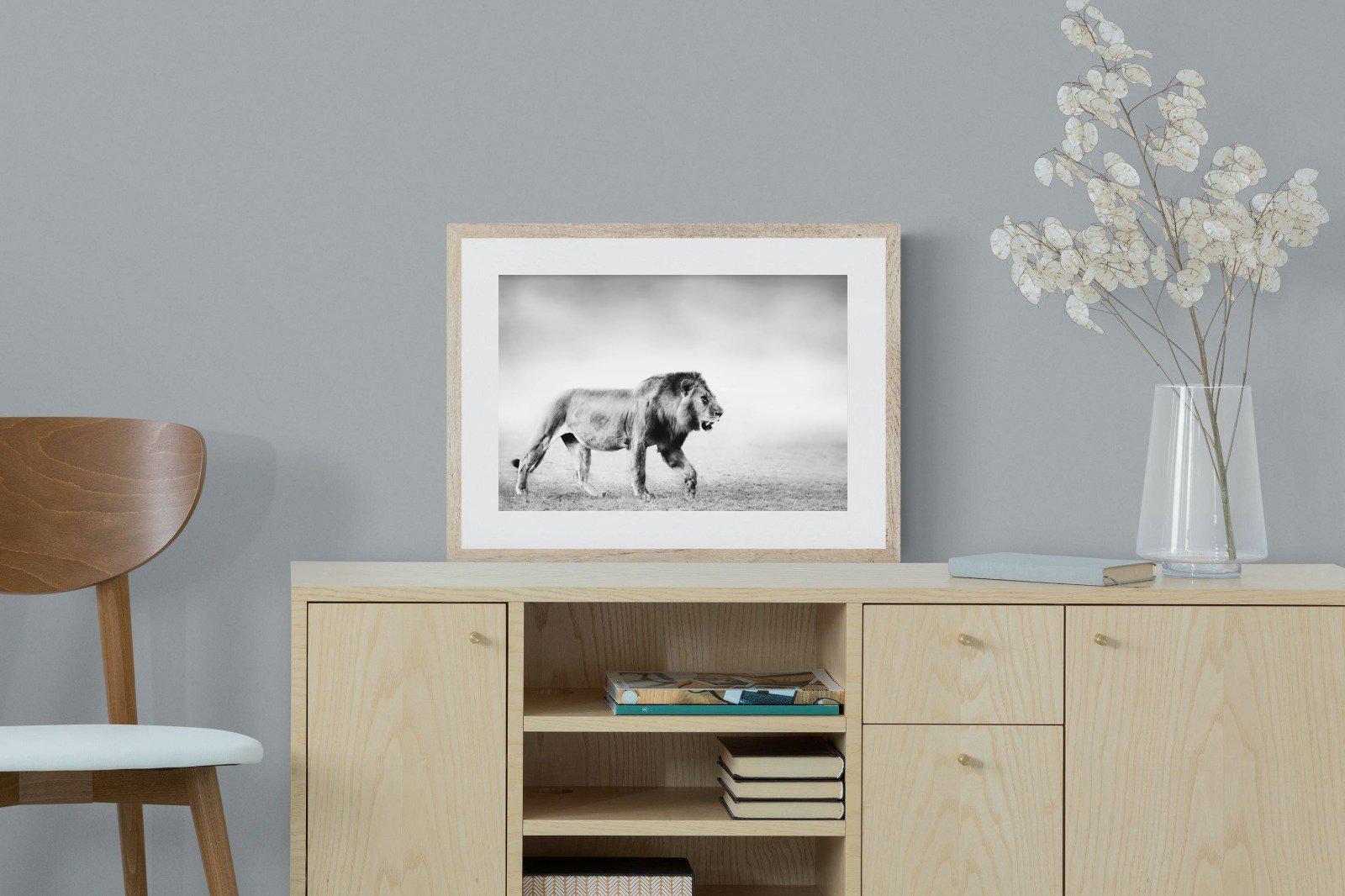 Roaming Lion-Wall_Art-60 x 45cm-Framed Print-Wood-Pixalot