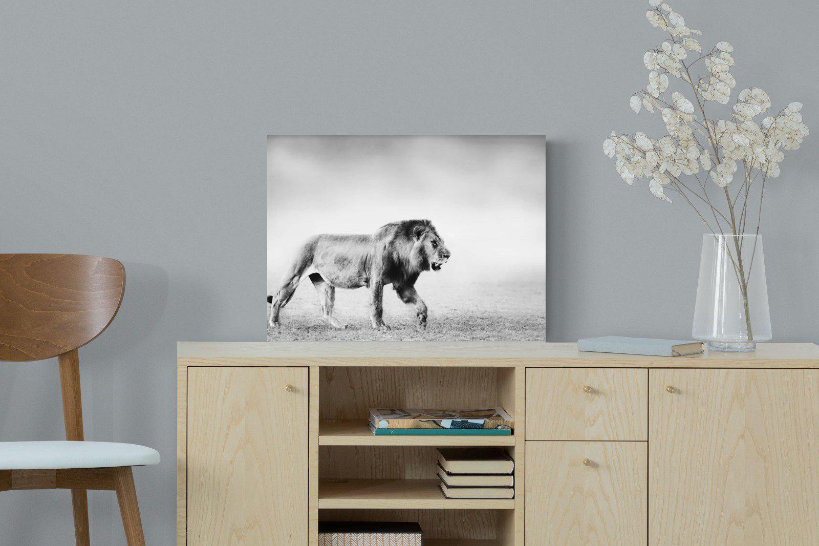 Roaming Lion-Wall_Art-60 x 45cm-Mounted Canvas-No Frame-Pixalot