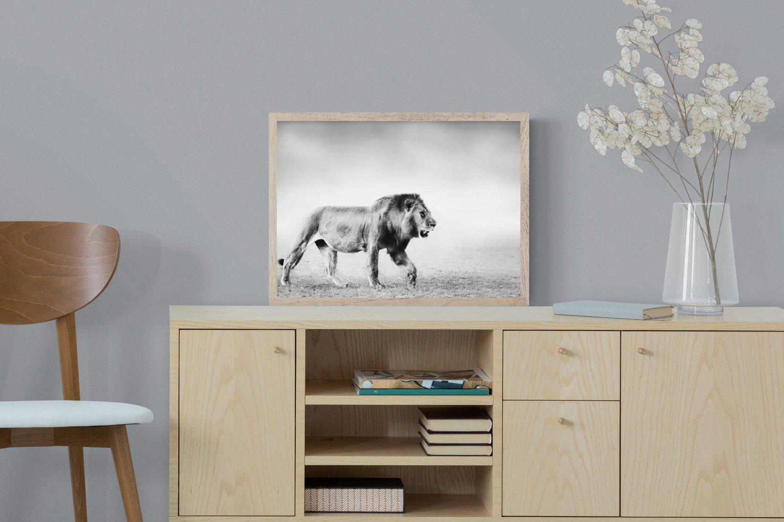 Roaming Lion-Wall_Art-60 x 45cm-Mounted Canvas-Wood-Pixalot