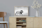 Roaming Lion-Wall_Art-60 x 45cm-Mounted Canvas-Wood-Pixalot