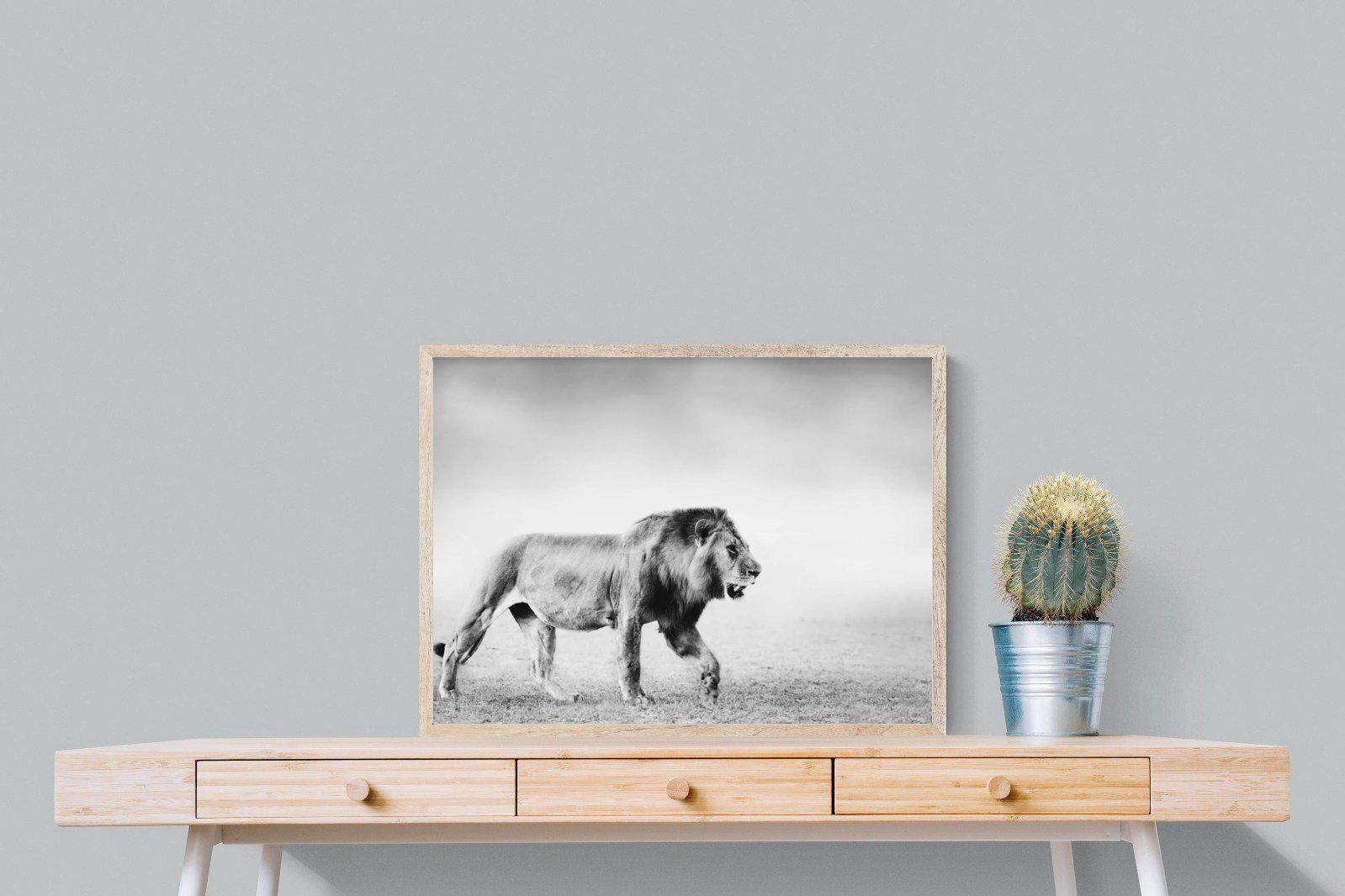 Roaming Lion-Wall_Art-80 x 60cm-Mounted Canvas-Wood-Pixalot