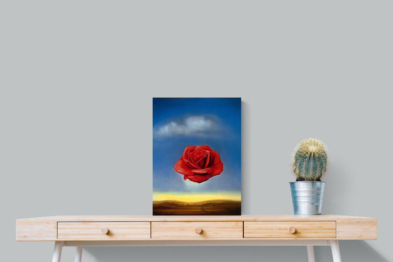 Rose Meditative-Wall_Art-45 x 60cm-Mounted Canvas-No Frame-Pixalot
