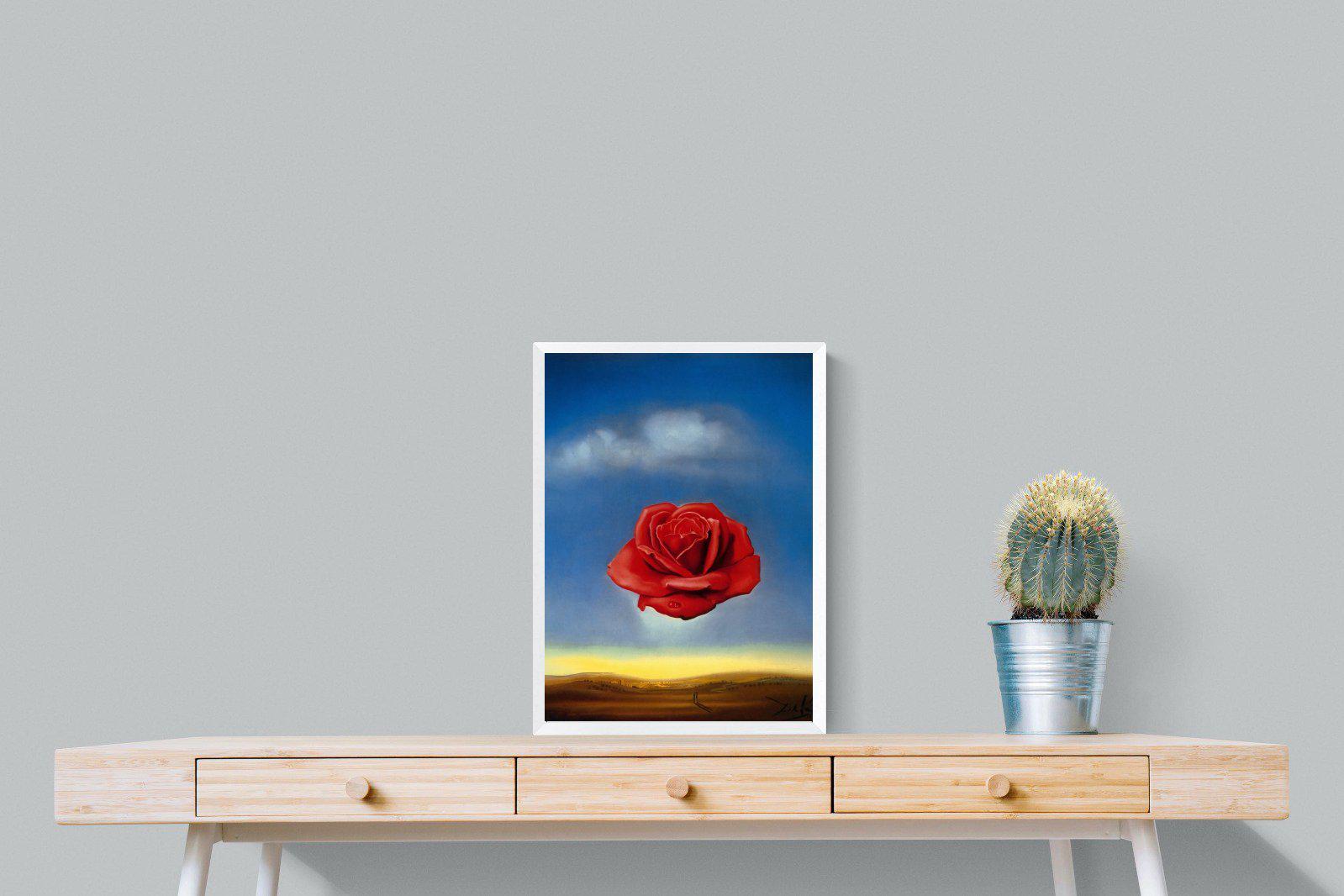 Rose Meditative-Wall_Art-45 x 60cm-Mounted Canvas-White-Pixalot