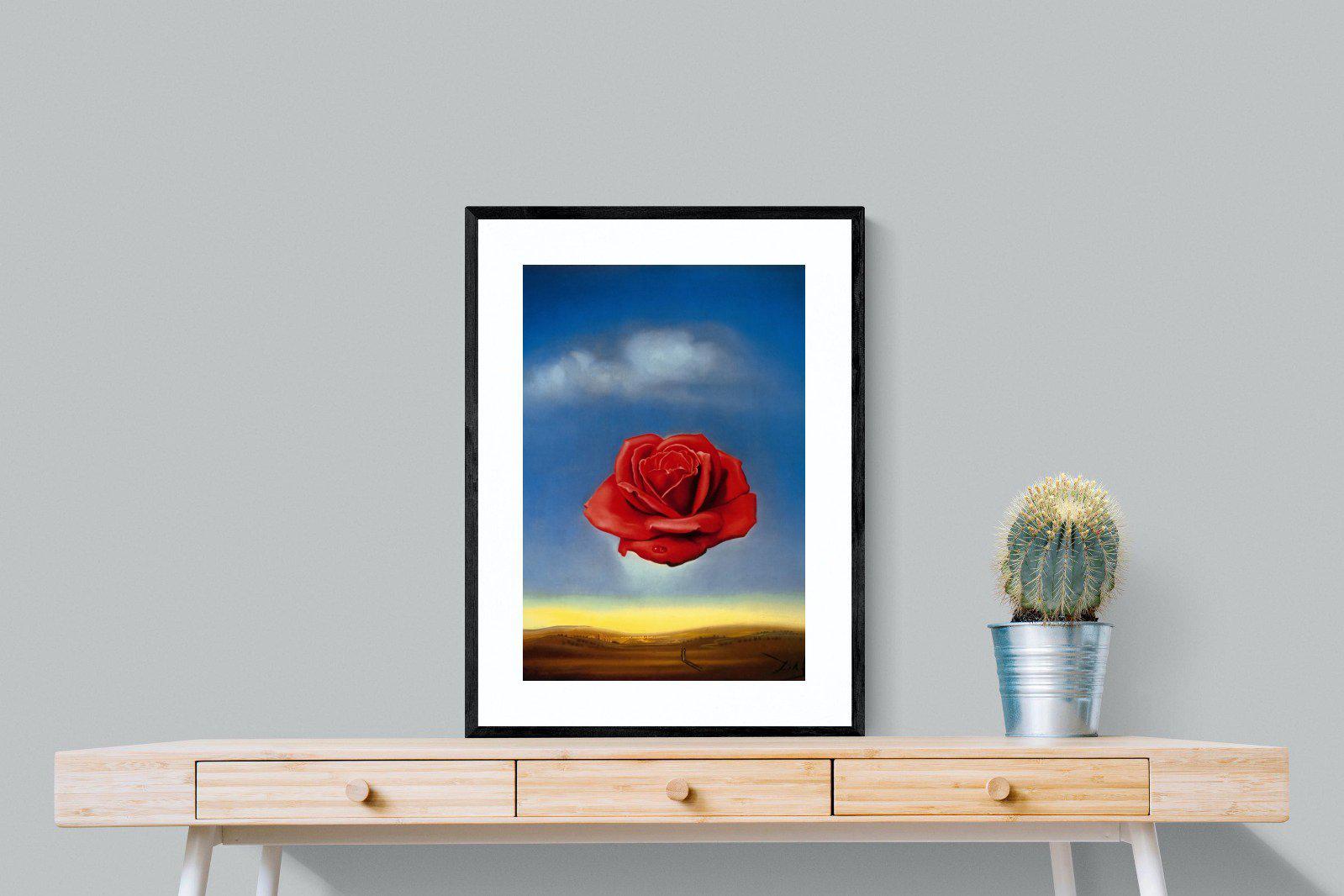 Rose Meditative-Wall_Art-60 x 80cm-Framed Print-Black-Pixalot