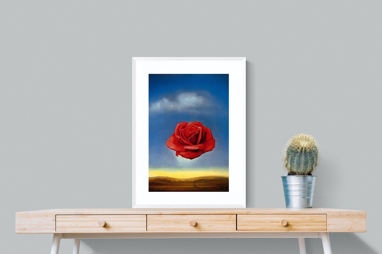 Rose Meditative-Wall_Art-60 x 80cm-Framed Print-White-Pixalot