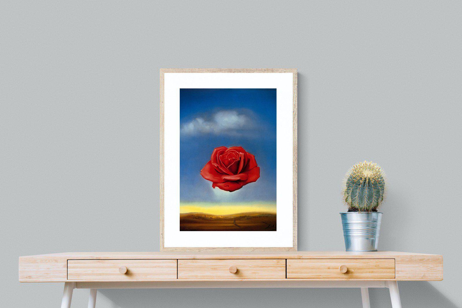 Rose Meditative-Wall_Art-60 x 80cm-Framed Print-Wood-Pixalot