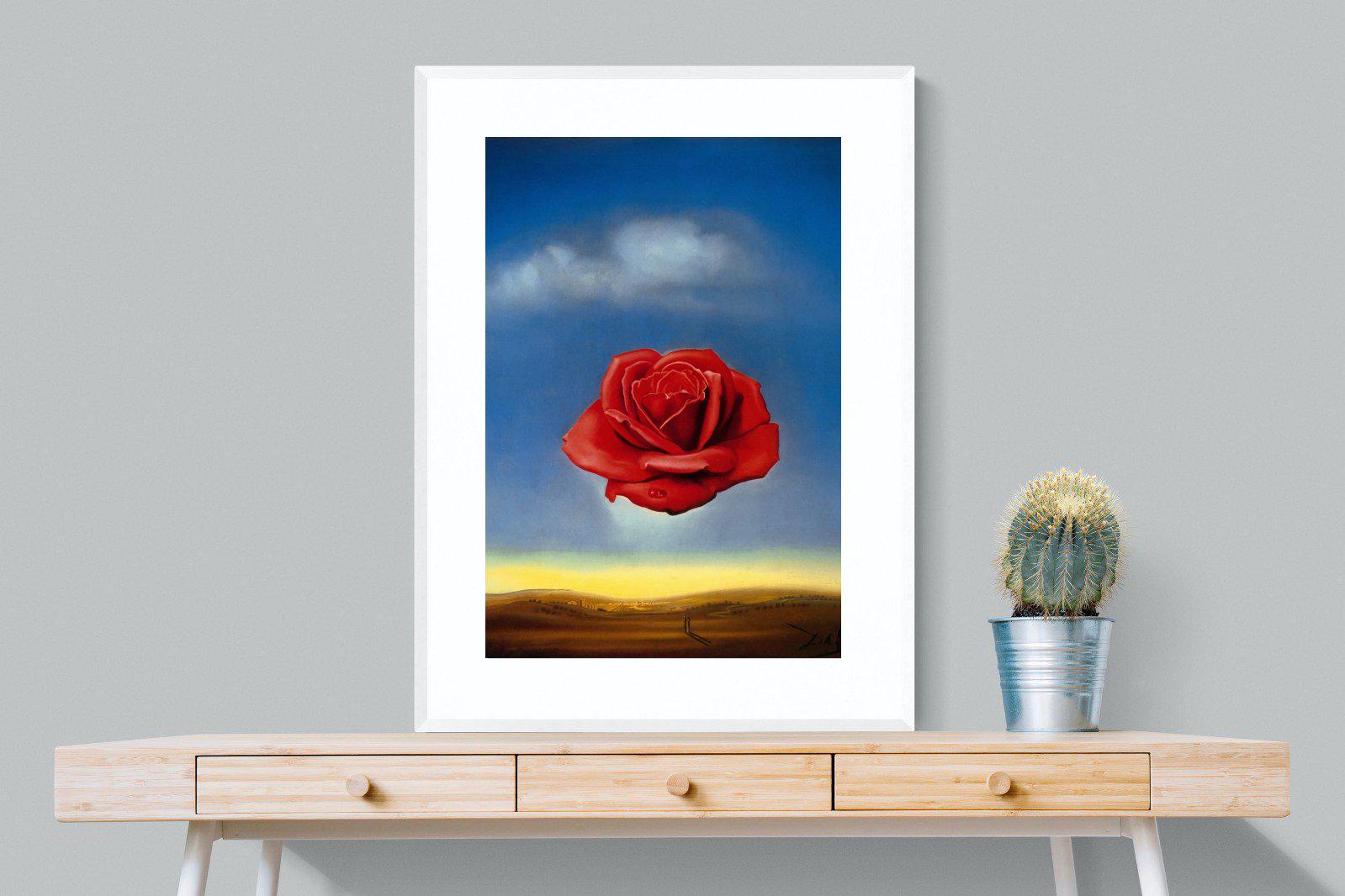 Rose Meditative-Wall_Art-75 x 100cm-Framed Print-White-Pixalot