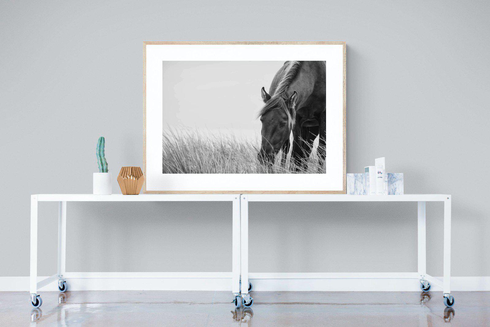 Sable Stallion-Wall_Art-120 x 90cm-Framed Print-Wood-Pixalot