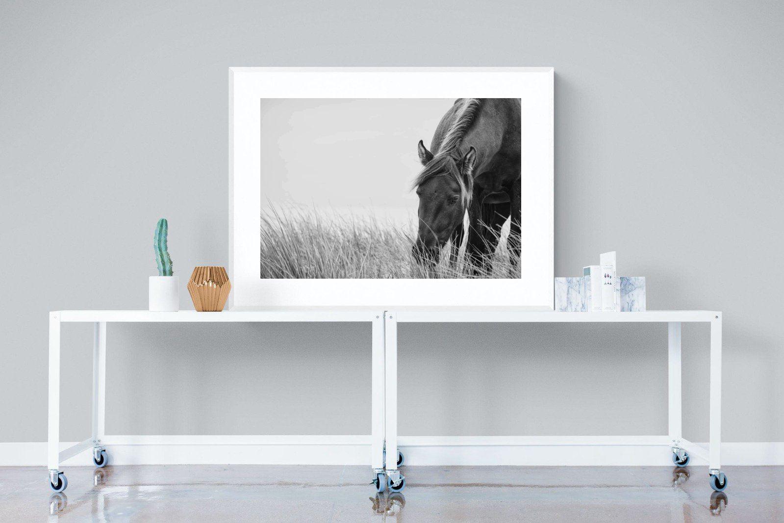 Sable Stallion-Wall_Art-120 x 90cm-Framed Print-White-Pixalot