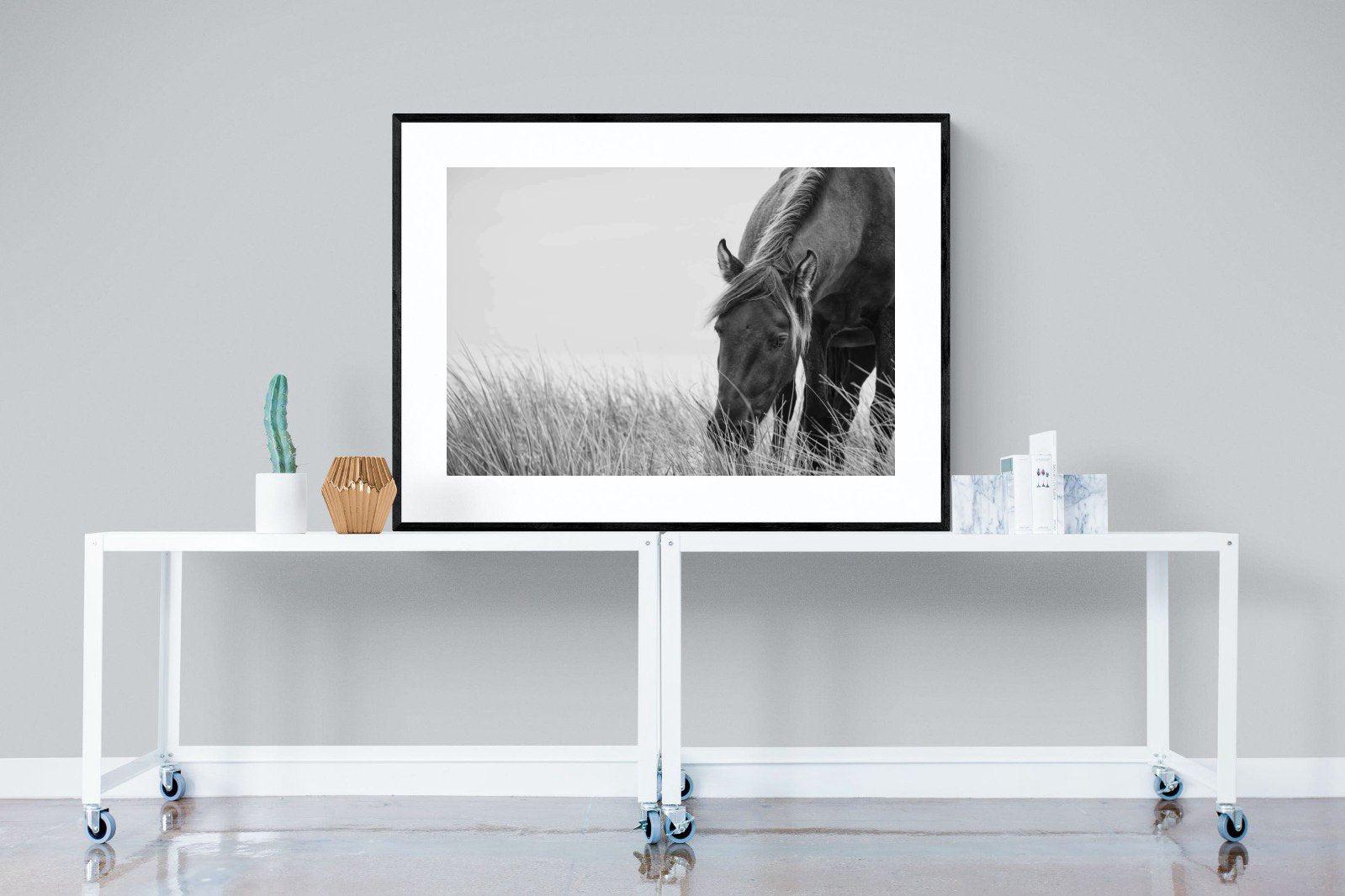 Sable Stallion-Wall_Art-120 x 90cm-Framed Print-Black-Pixalot