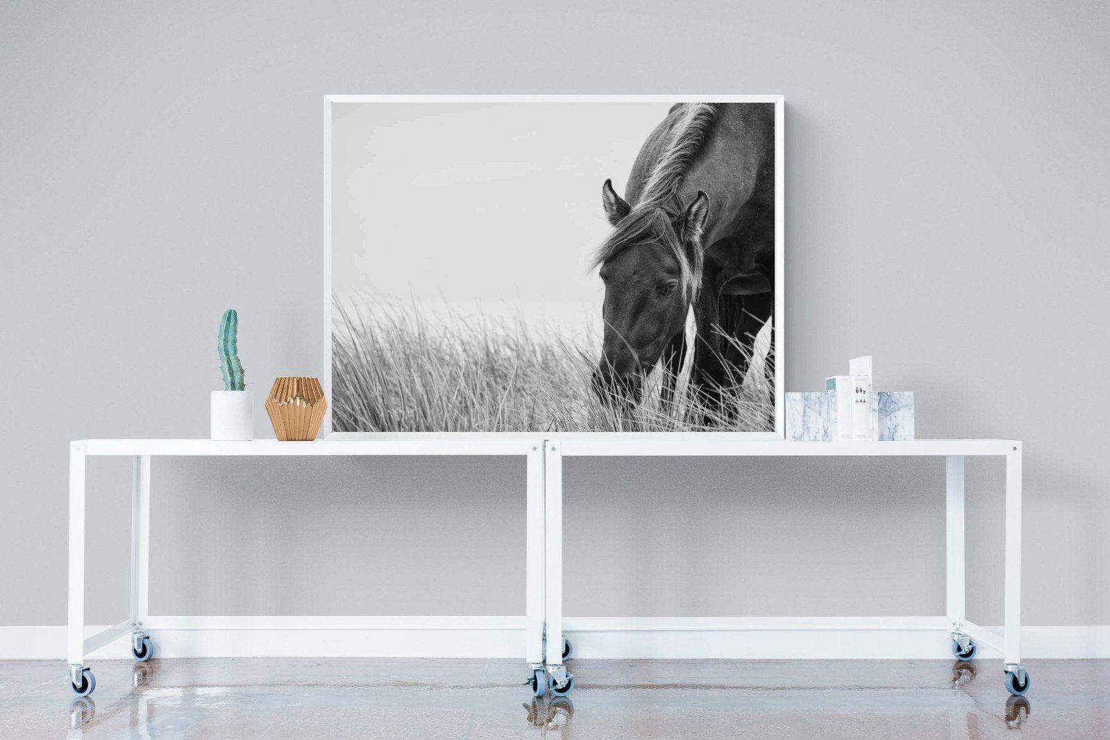 Sable Stallion-Wall_Art-120 x 90cm-Mounted Canvas-White-Pixalot
