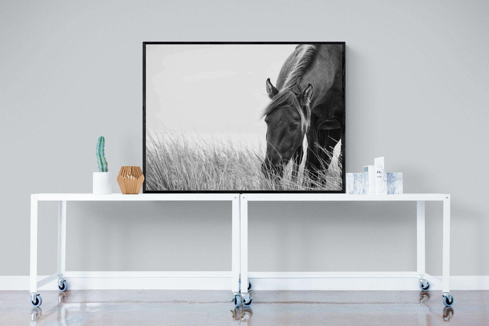 Sable Stallion-Wall_Art-120 x 90cm-Mounted Canvas-Black-Pixalot