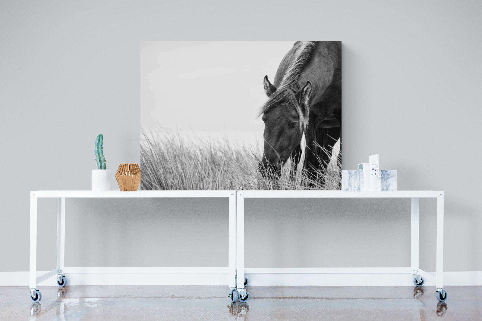 Sable Stallion-Wall_Art-120 x 90cm-Mounted Canvas-No Frame-Pixalot