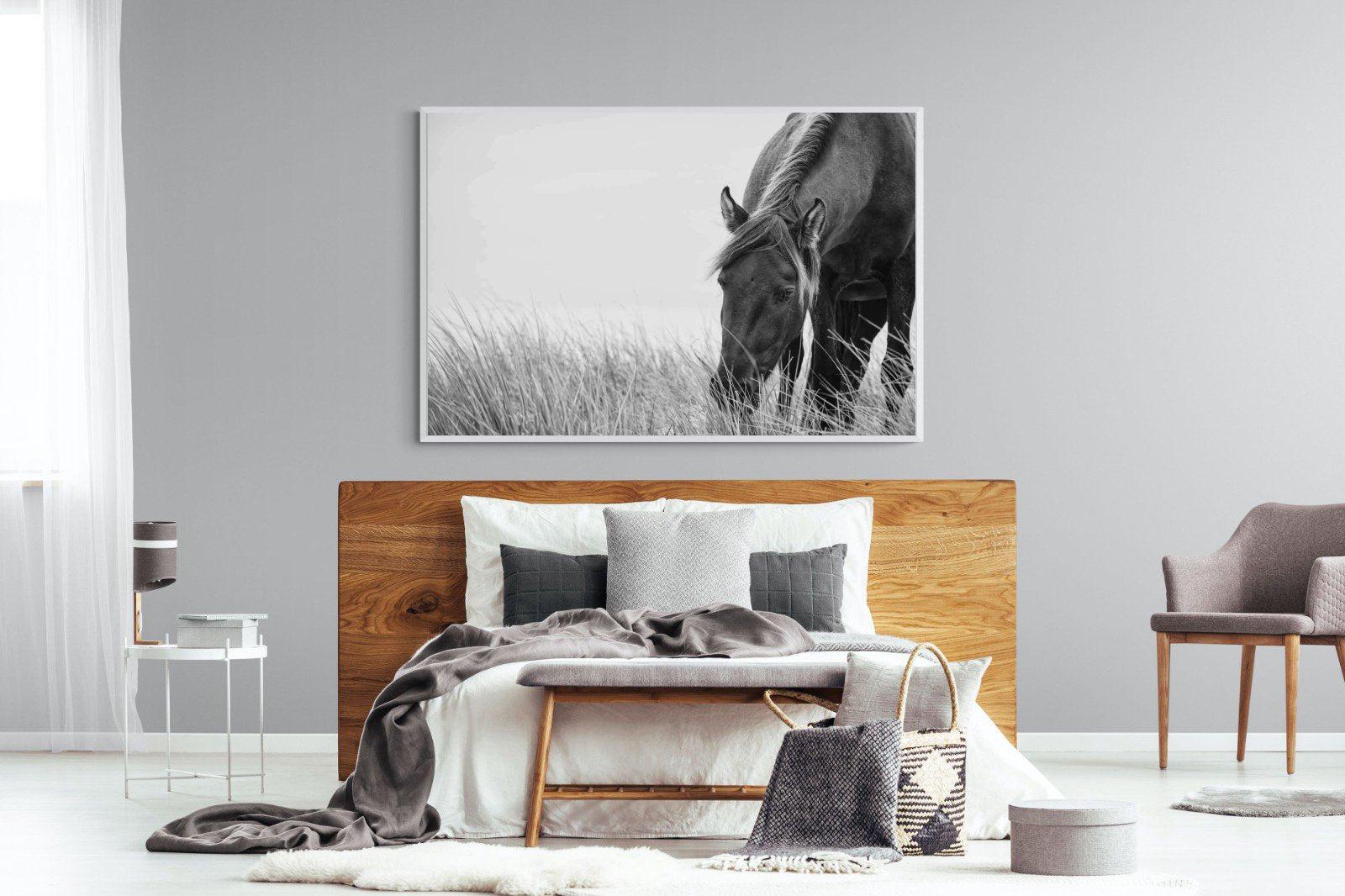 Sable Stallion-Wall_Art-150 x 100cm-Mounted Canvas-White-Pixalot