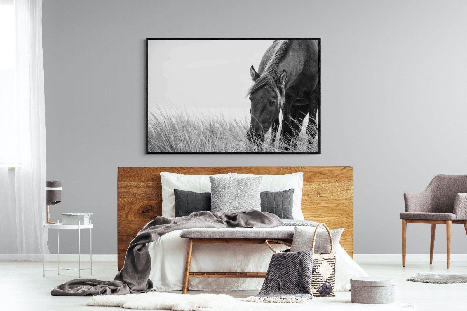 Sable Stallion-Wall_Art-150 x 100cm-Mounted Canvas-Black-Pixalot