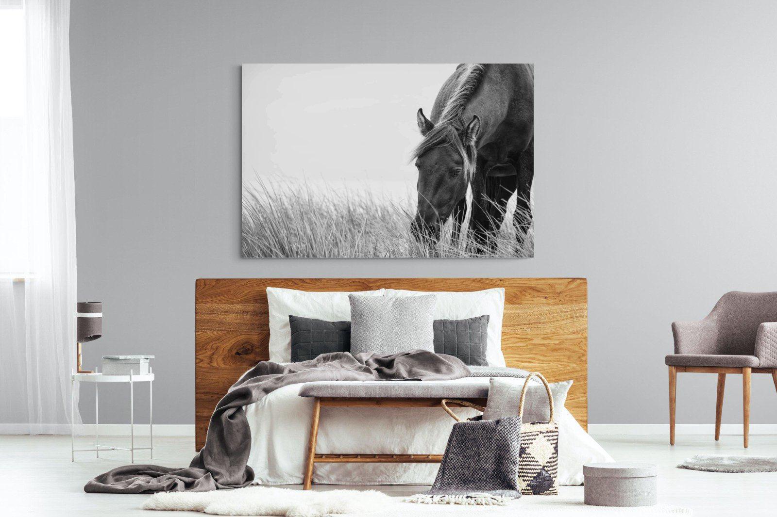 Sable Stallion-Wall_Art-150 x 100cm-Mounted Canvas-No Frame-Pixalot