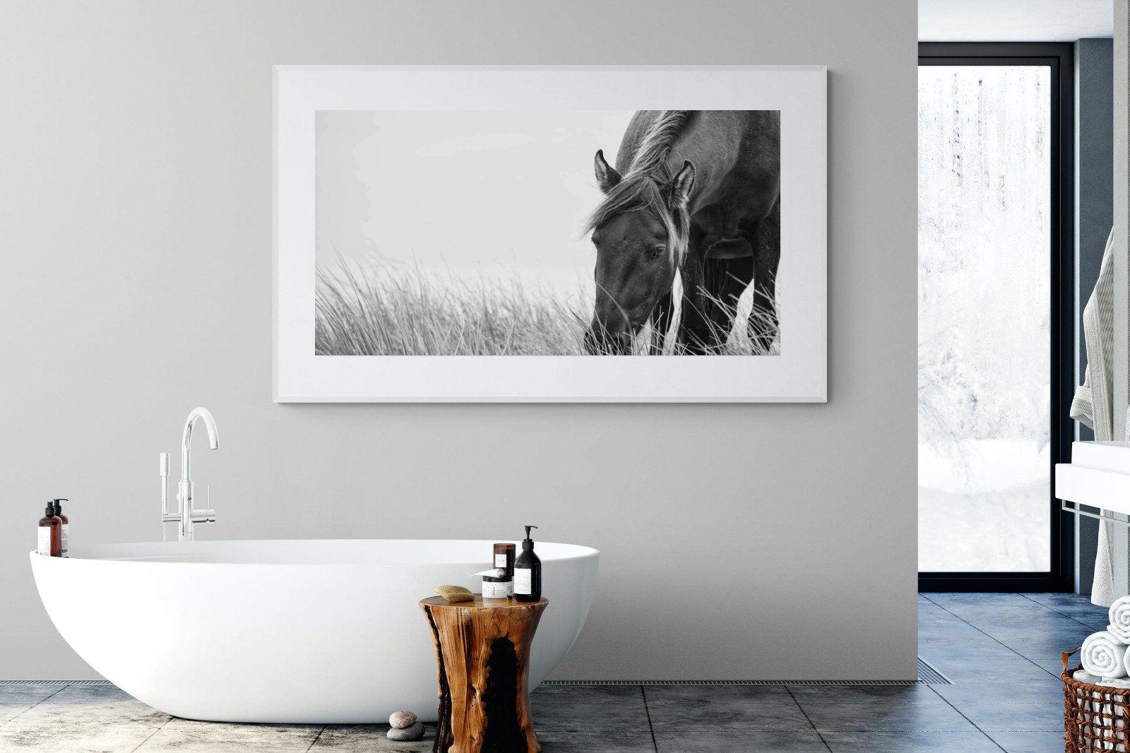 Sable Stallion-Wall_Art-180 x 110cm-Framed Print-White-Pixalot