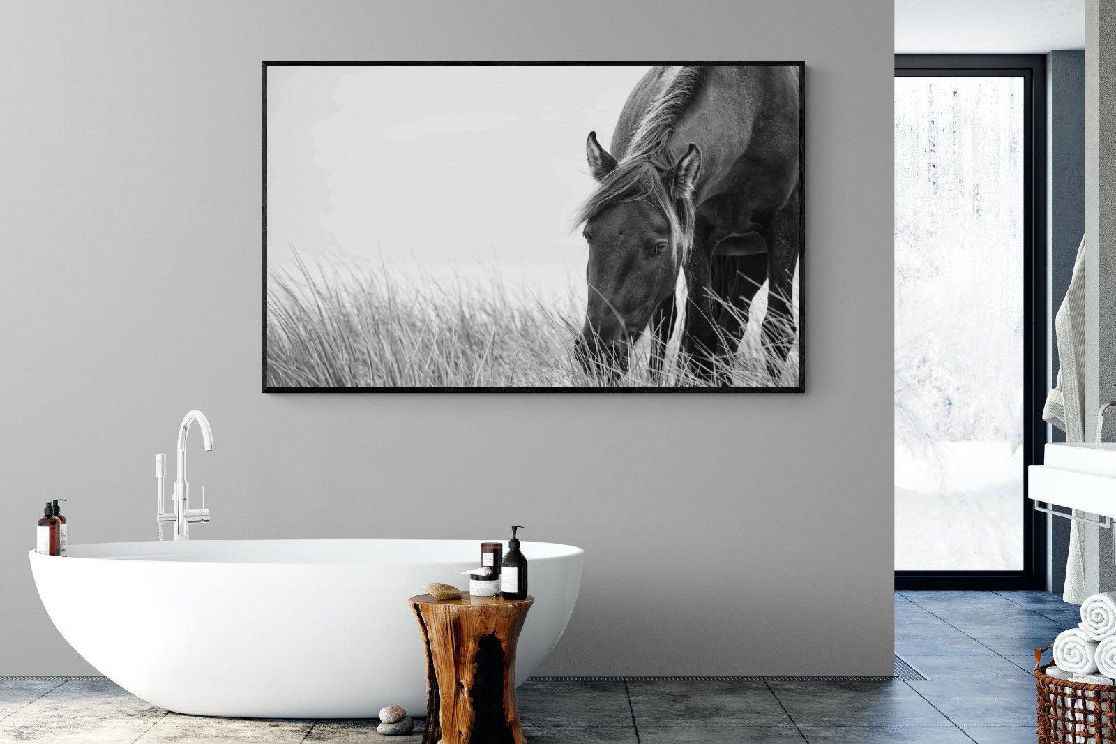 Sable Stallion-Wall_Art-180 x 110cm-Mounted Canvas-Black-Pixalot