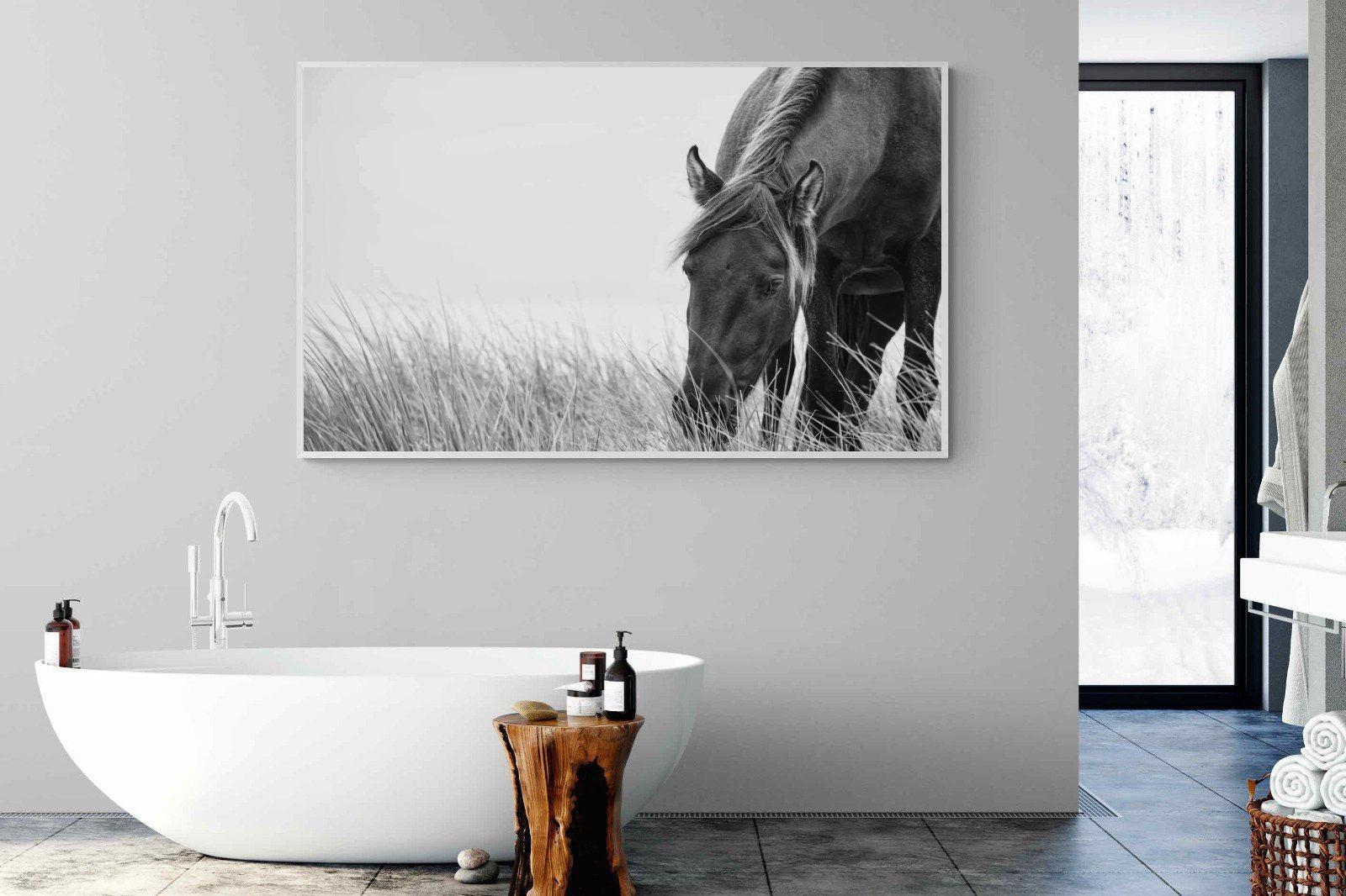 Sable Stallion-Wall_Art-180 x 110cm-Mounted Canvas-White-Pixalot