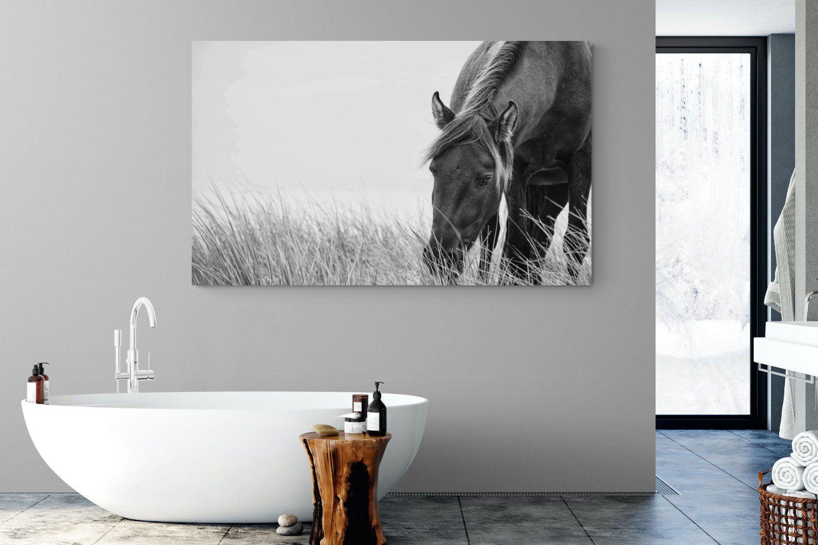 Sable Stallion-Wall_Art-180 x 110cm-Mounted Canvas-No Frame-Pixalot