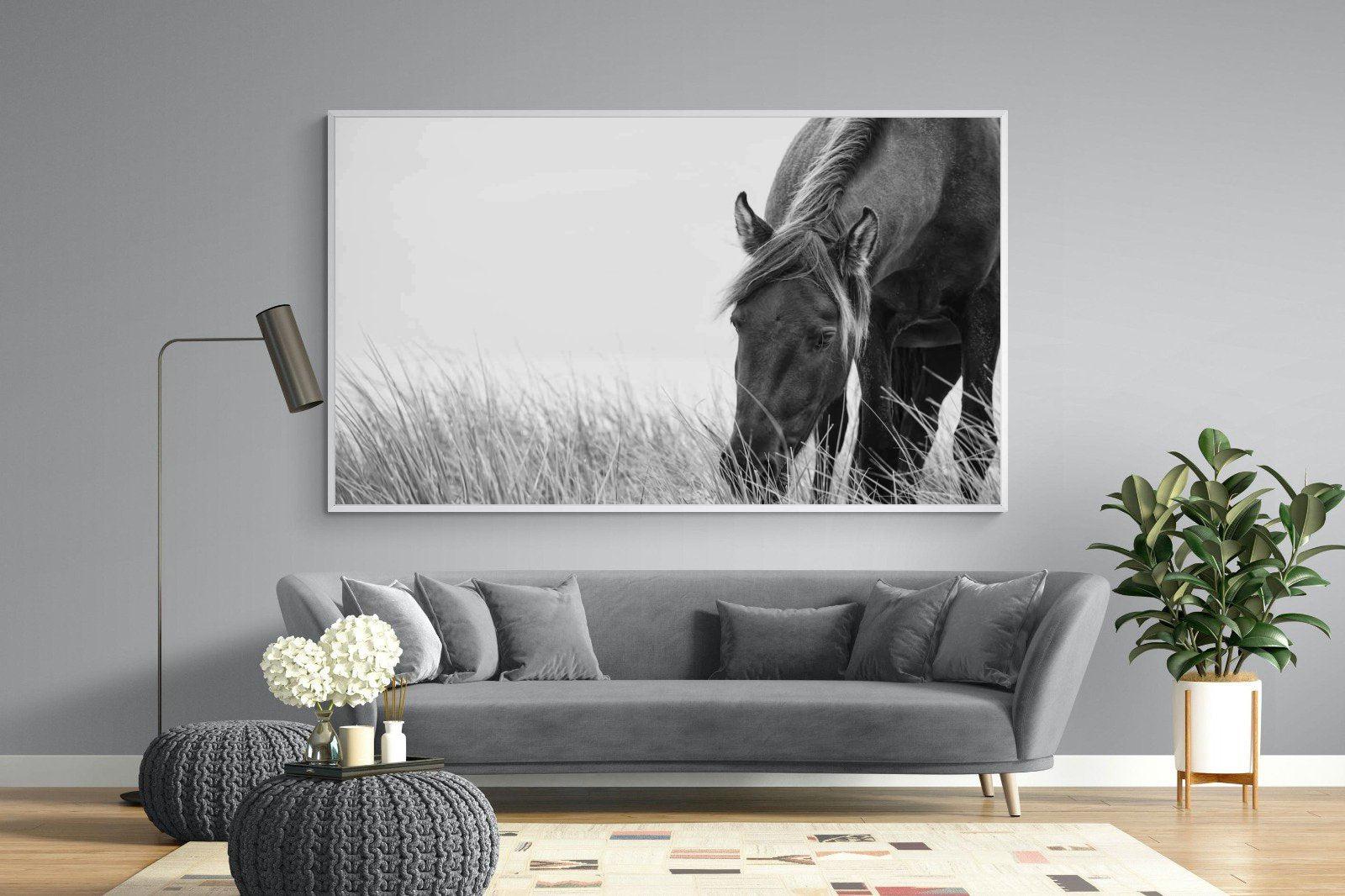 Sable Stallion-Wall_Art-220 x 130cm-Mounted Canvas-White-Pixalot