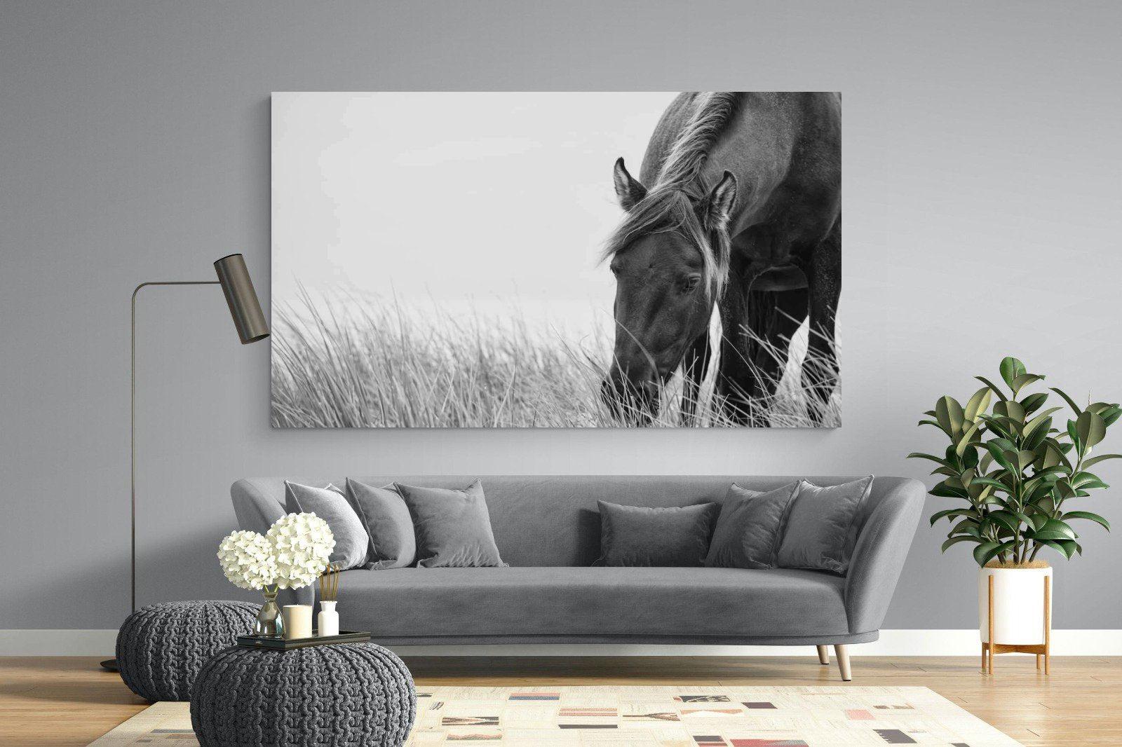 Sable Stallion-Wall_Art-220 x 130cm-Mounted Canvas-No Frame-Pixalot