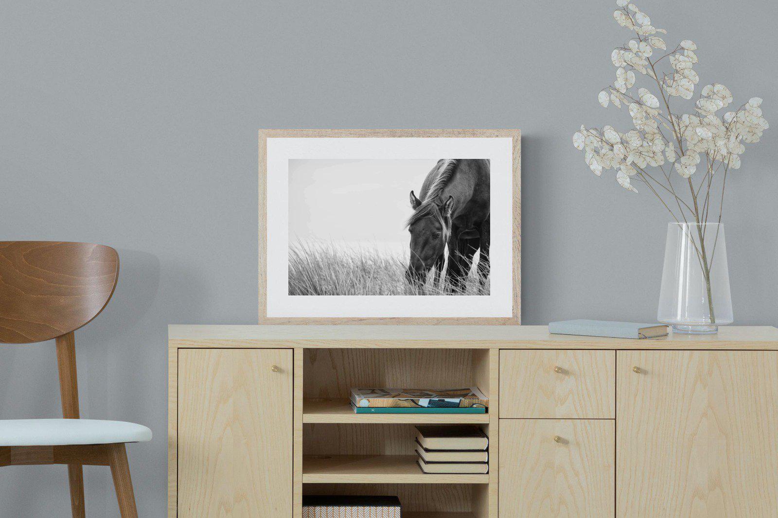 Sable Stallion-Wall_Art-60 x 45cm-Framed Print-Wood-Pixalot