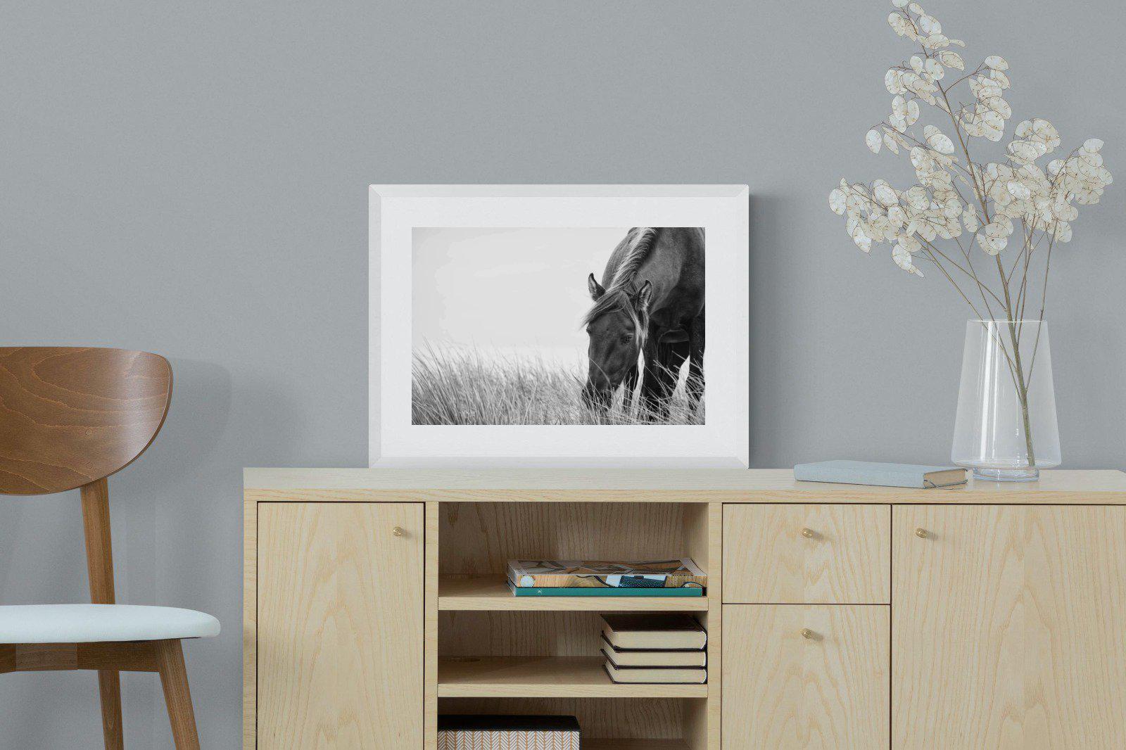 Sable Stallion-Wall_Art-60 x 45cm-Framed Print-White-Pixalot