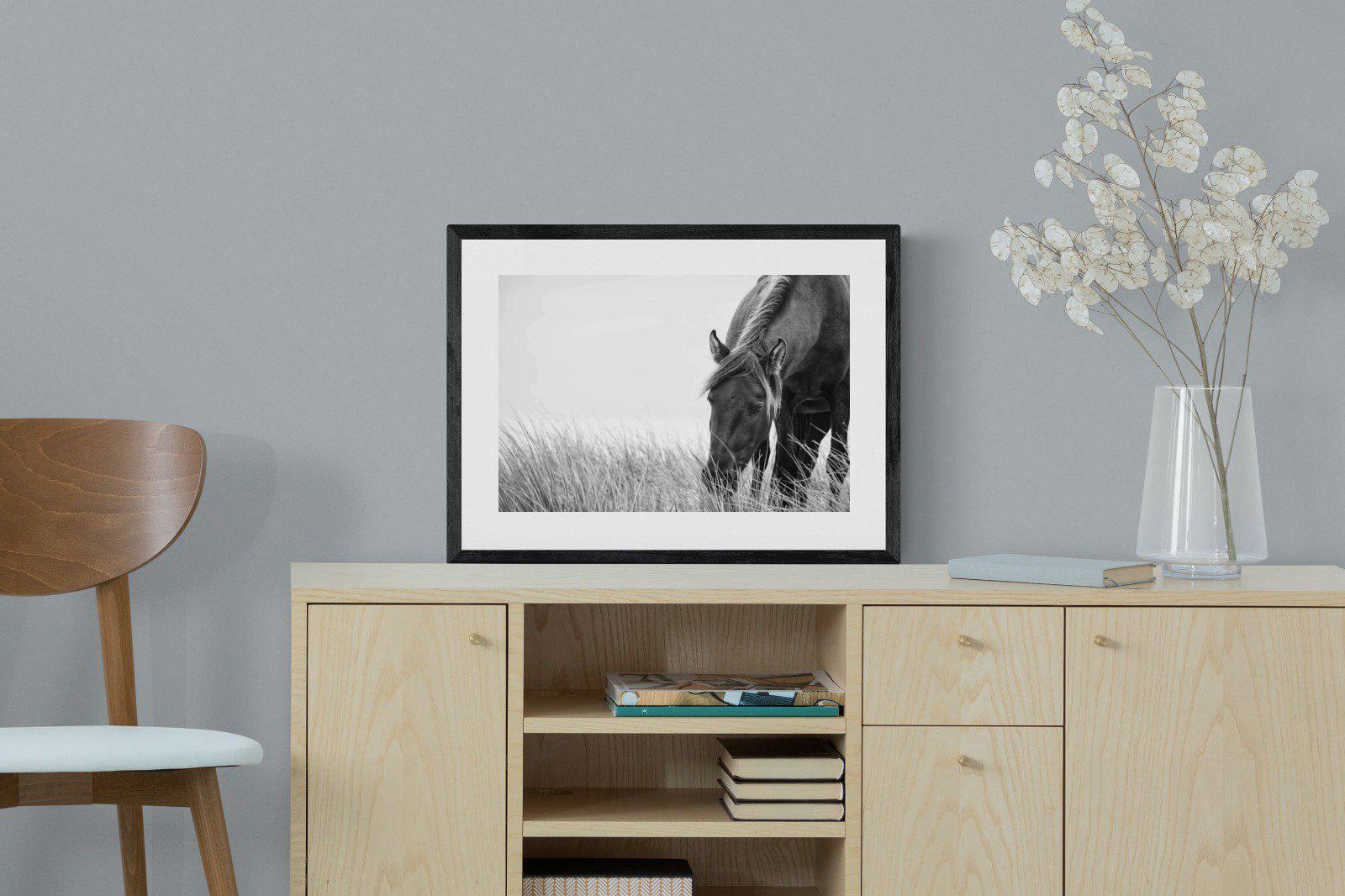 Sable Stallion-Wall_Art-60 x 45cm-Framed Print-Black-Pixalot