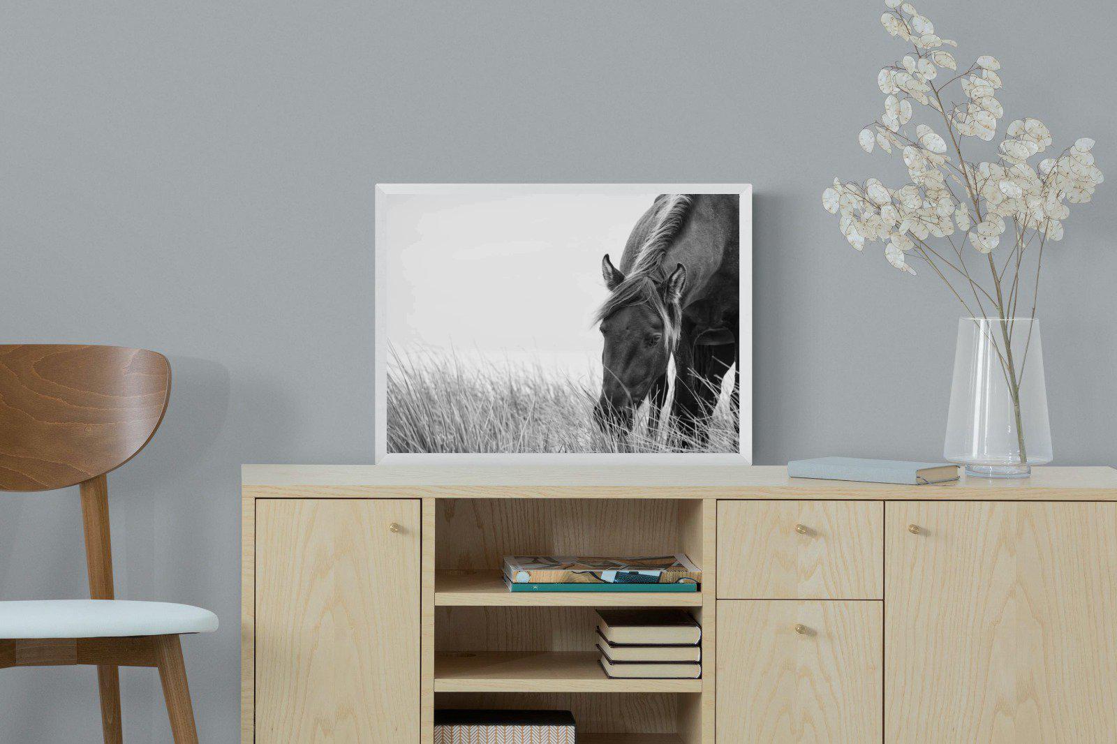 Sable Stallion-Wall_Art-60 x 45cm-Mounted Canvas-White-Pixalot