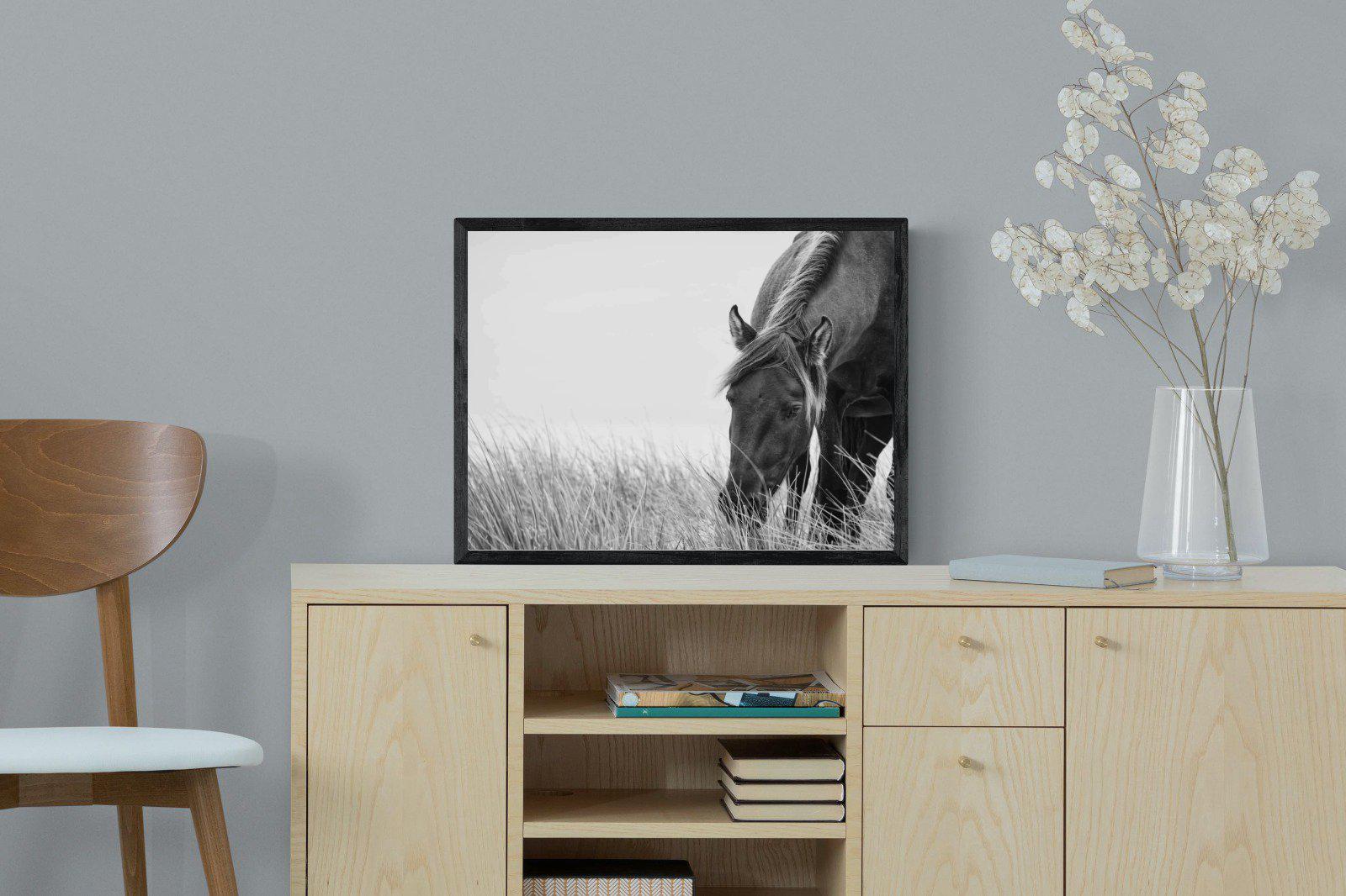 Sable Stallion-Wall_Art-60 x 45cm-Mounted Canvas-Black-Pixalot