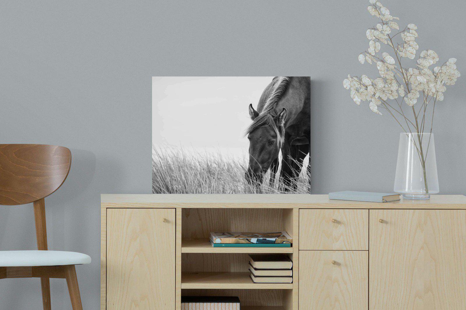 Sable Stallion-Wall_Art-60 x 45cm-Mounted Canvas-No Frame-Pixalot