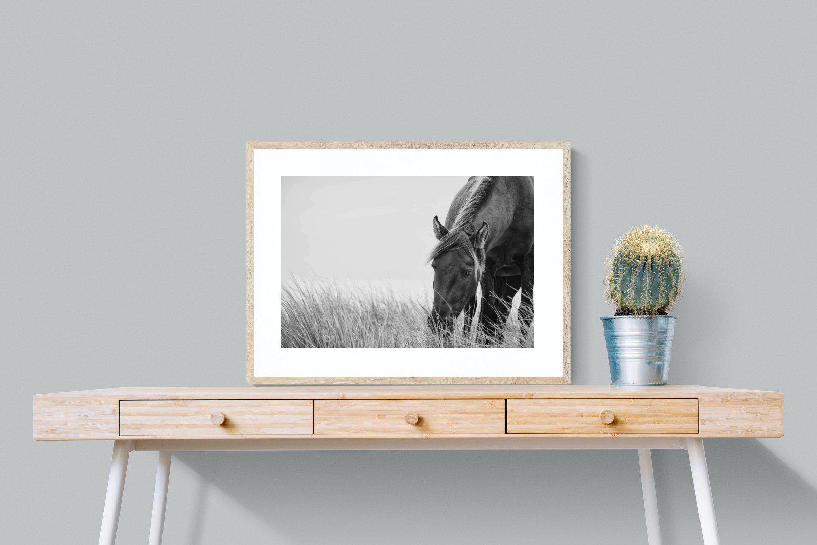Sable Stallion-Wall_Art-80 x 60cm-Framed Print-Wood-Pixalot
