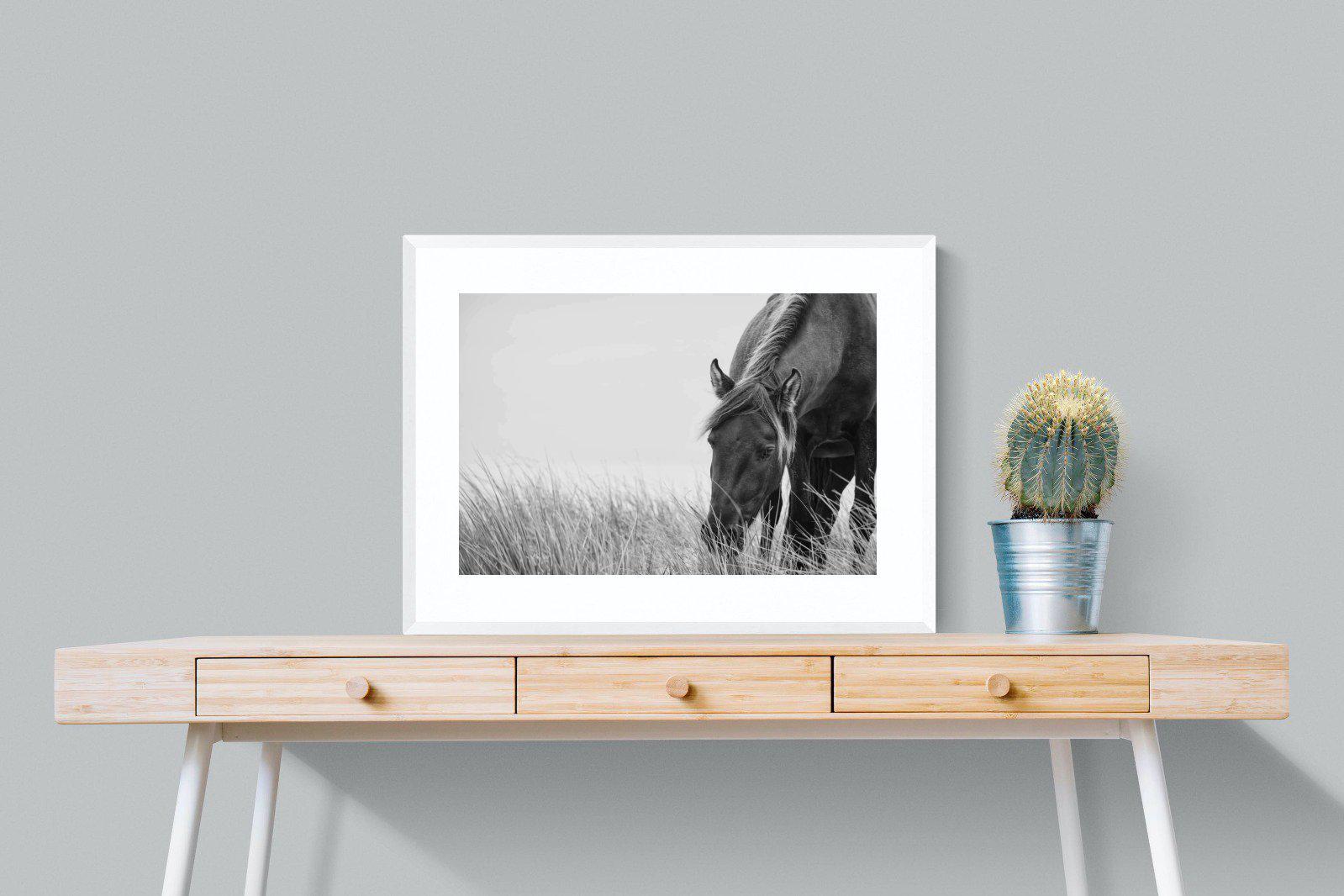 Sable Stallion-Wall_Art-80 x 60cm-Framed Print-White-Pixalot