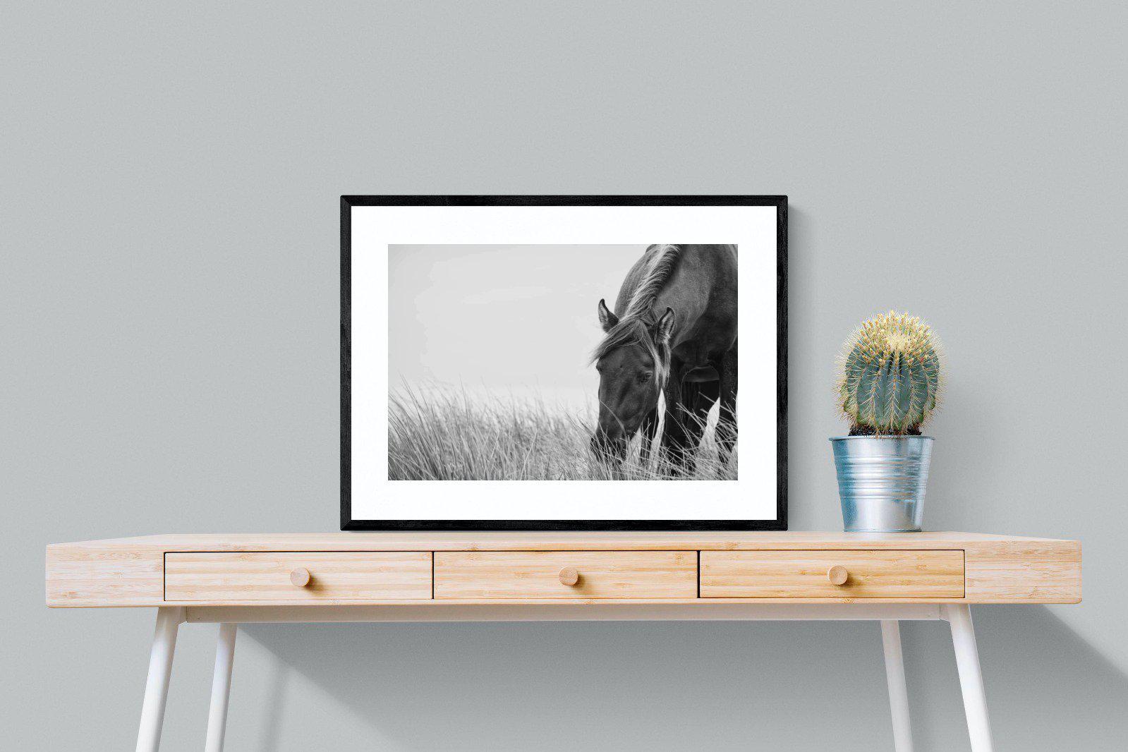 Sable Stallion-Wall_Art-80 x 60cm-Framed Print-Black-Pixalot