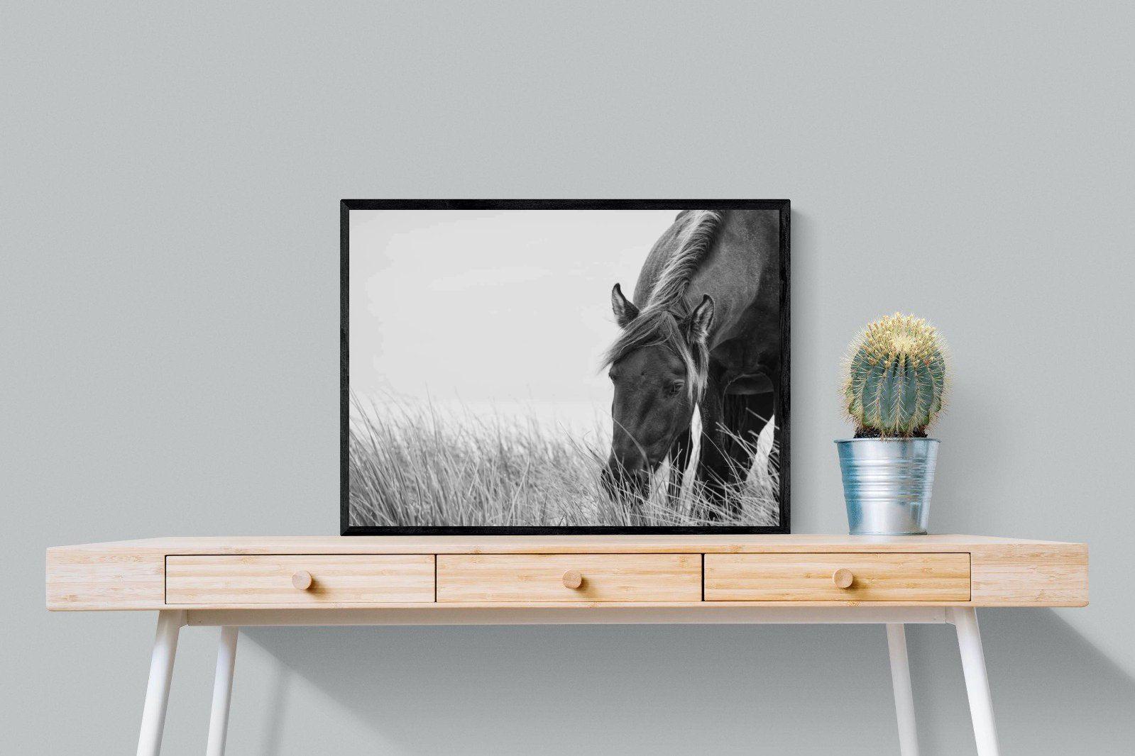 Sable Stallion-Wall_Art-80 x 60cm-Mounted Canvas-Black-Pixalot