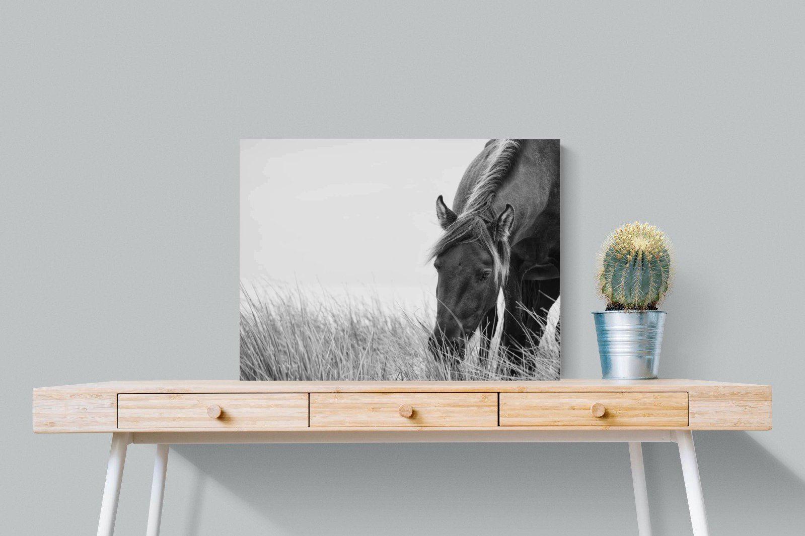 Sable Stallion-Wall_Art-80 x 60cm-Mounted Canvas-No Frame-Pixalot